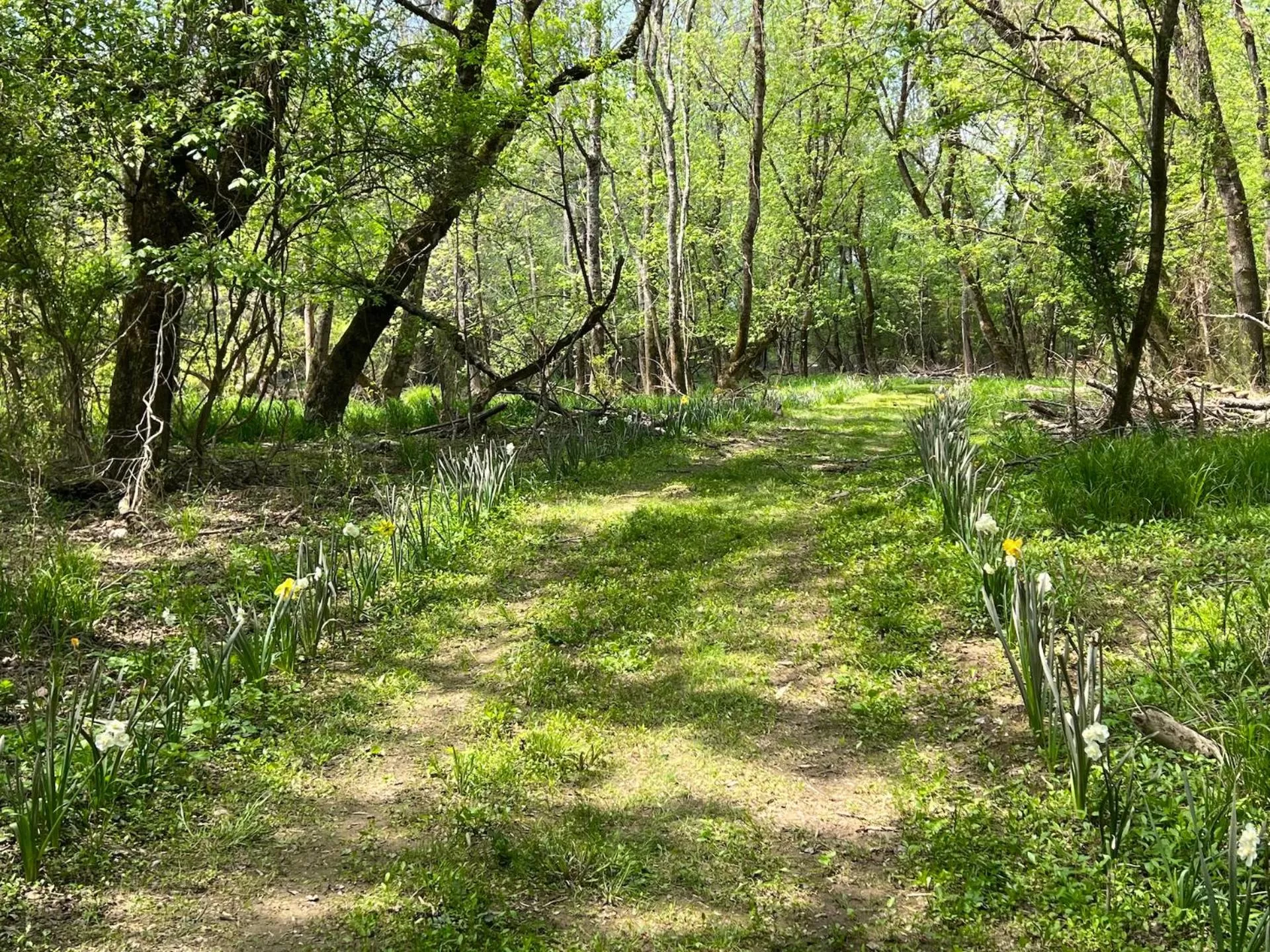 Natural landscape in SKYLARANNA Resort & SPA