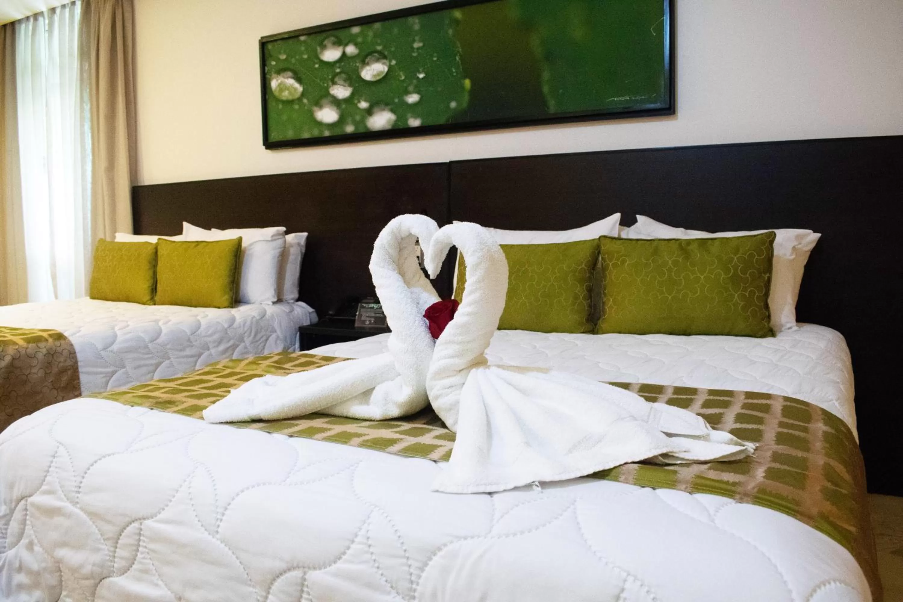 Photo of the whole room, Bed in Studio Hotel Boutique