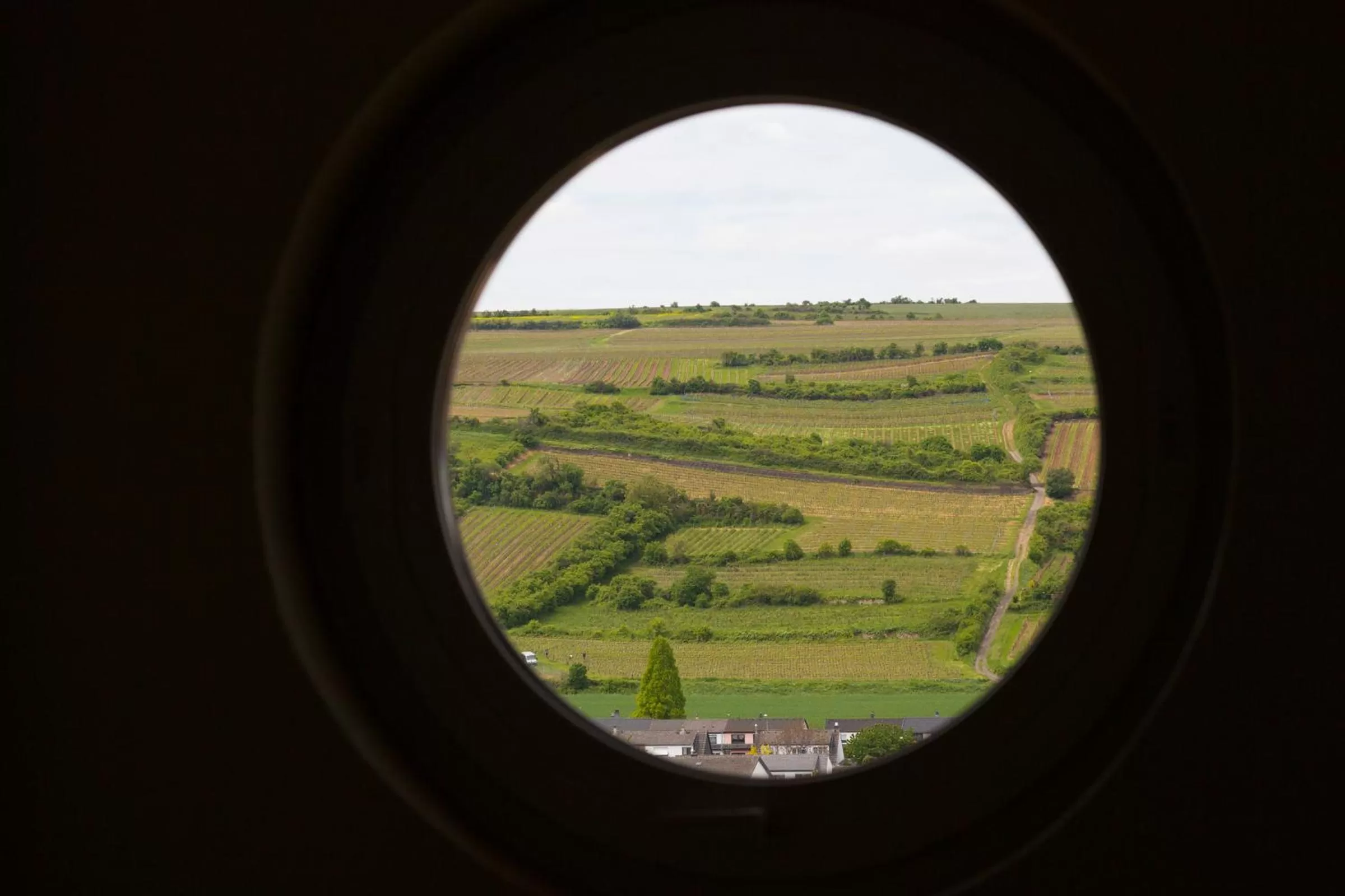 View (from property/room) in Pfalzhotel Asselheim