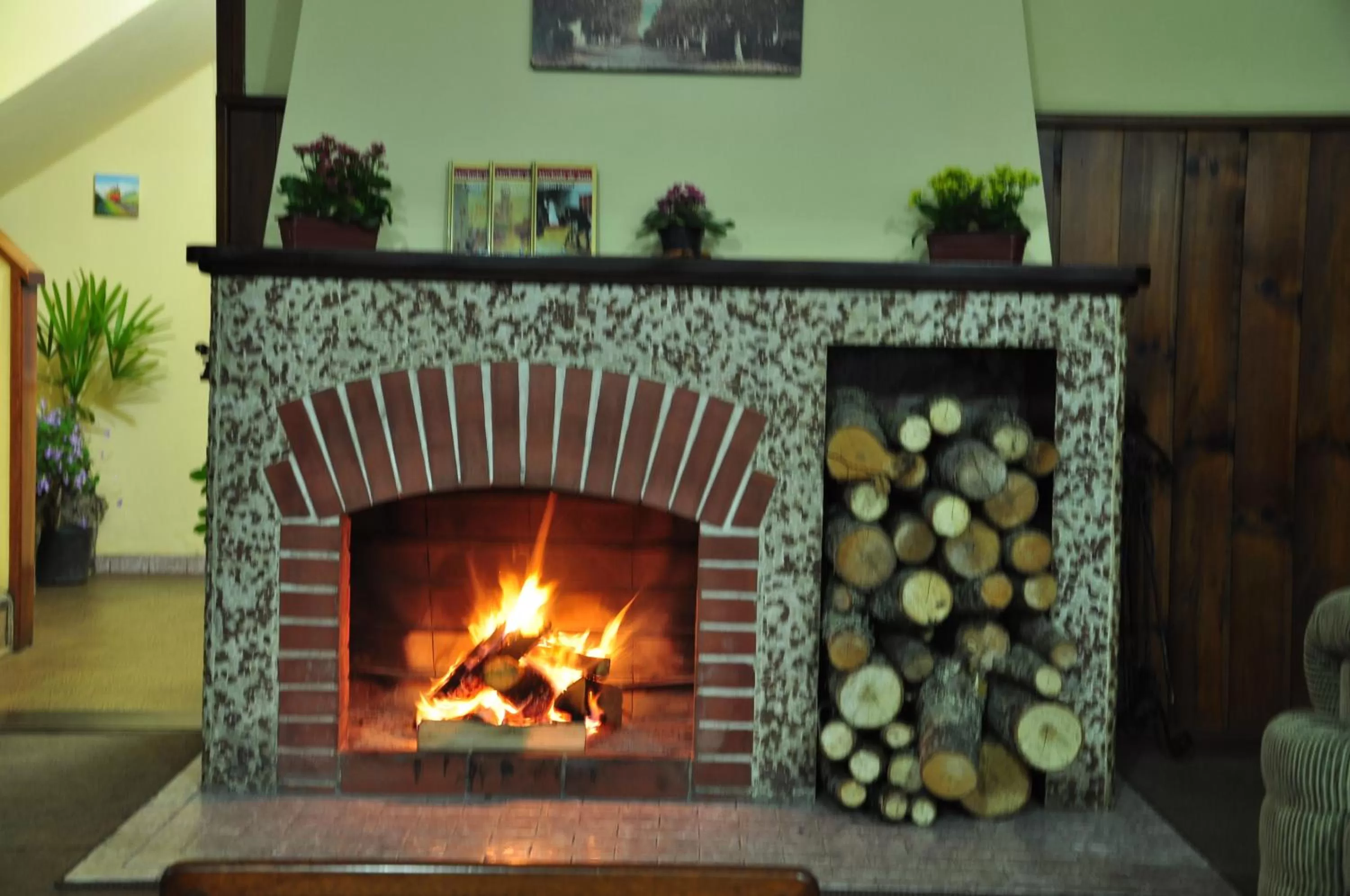 Communal lounge/ TV room in Pousada Curumi