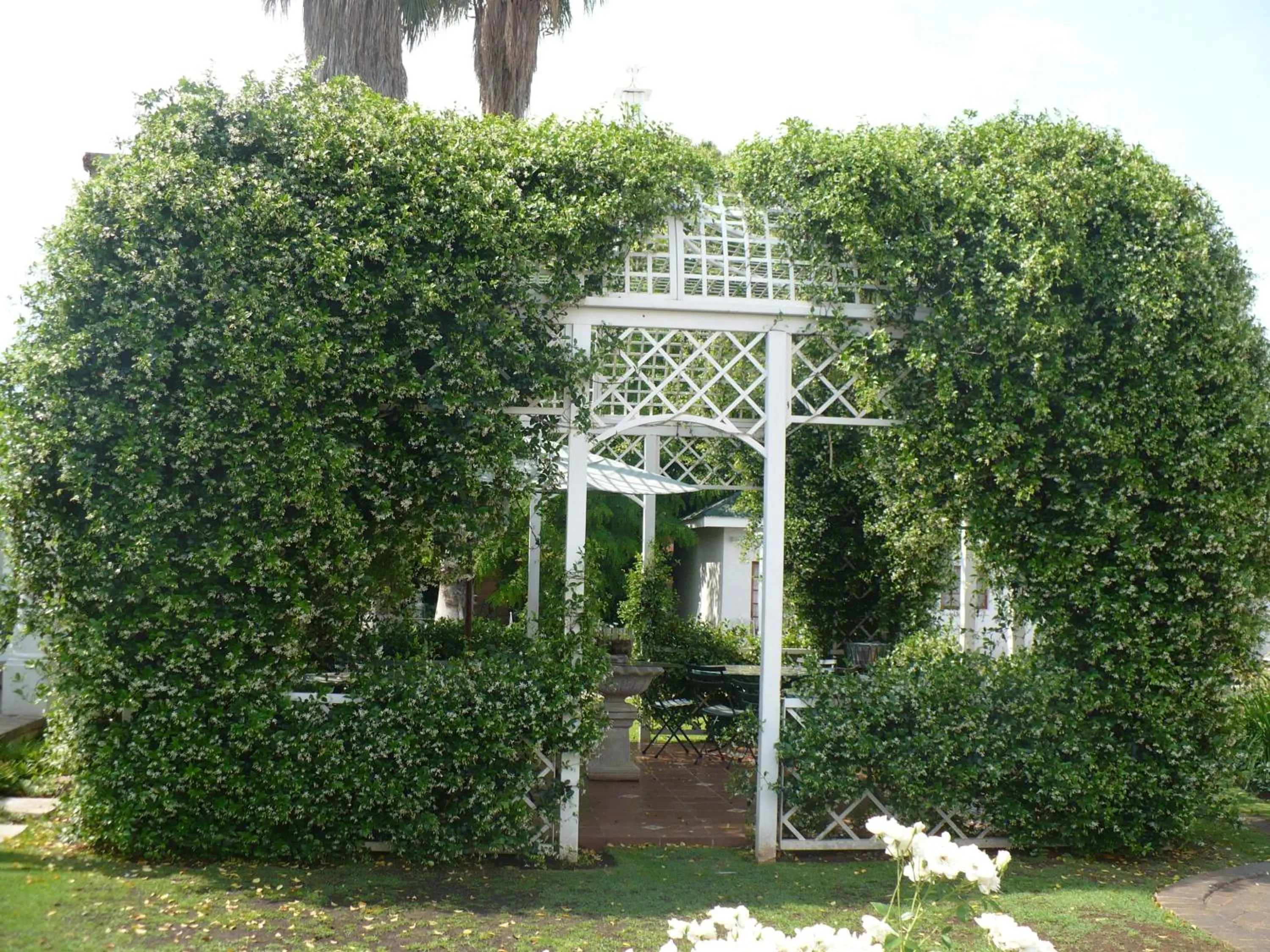 Patio in A Tapestry Garden Guest House