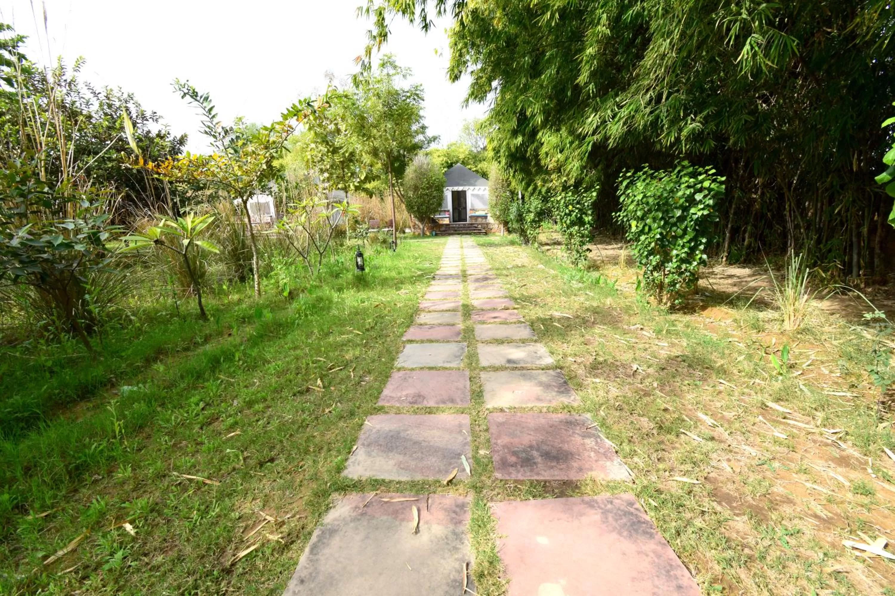 Garden in Sultan Bagh Resort by The Sky Imperial
