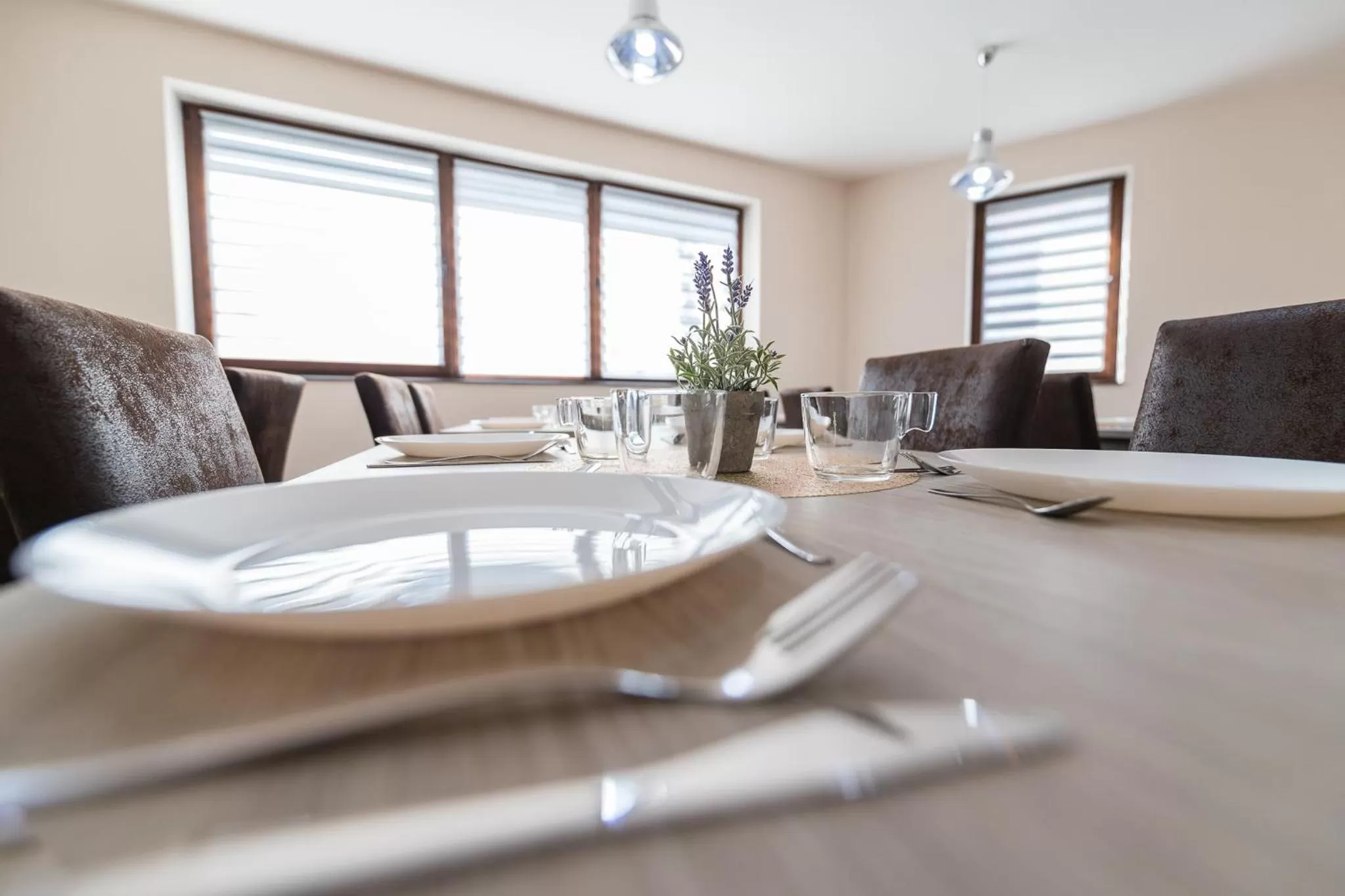 Seating area in Pensiunea Select Central