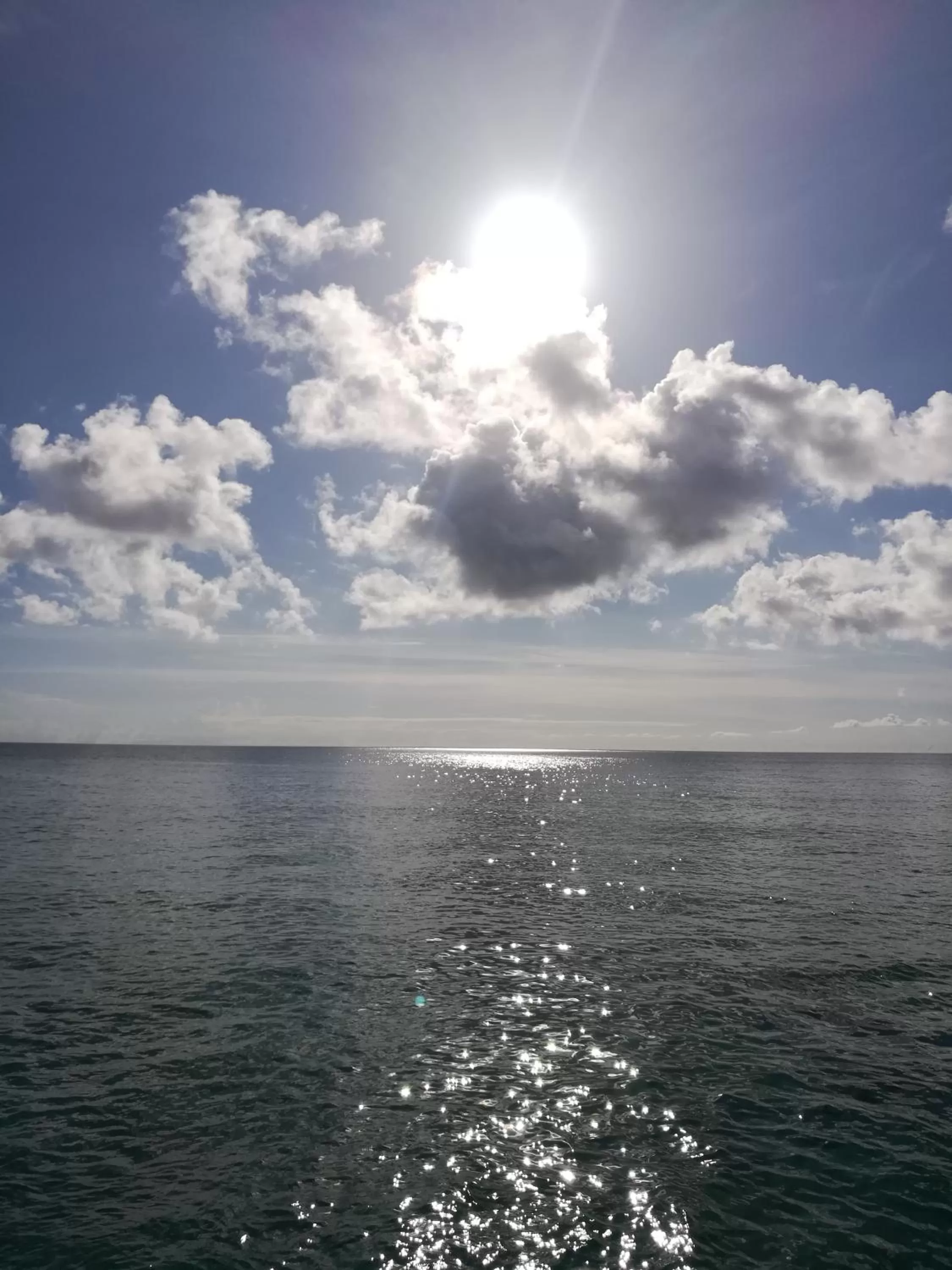 Natural landscape in Casa Royal Palm Inn