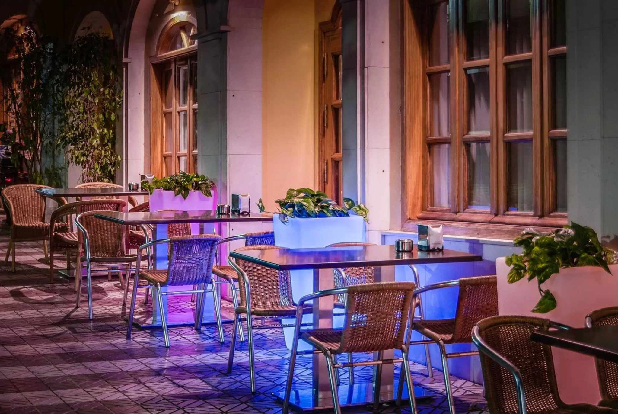 Lounge or bar, Restaurant/Places to Eat in Hotel el Sol