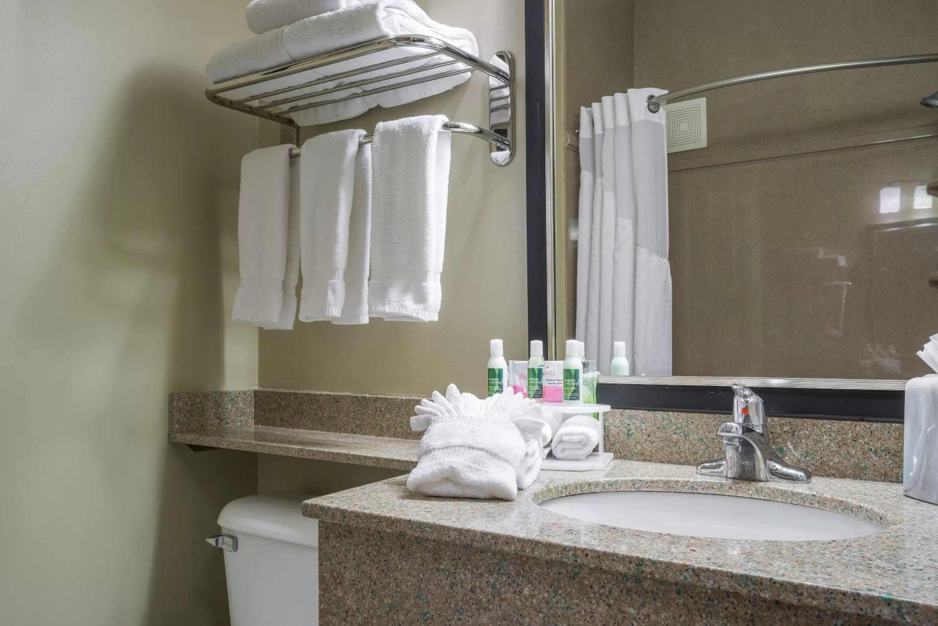 Bathroom in Holiday Inn Express Hotel & Suites St. Paul - Woodbury by IHG