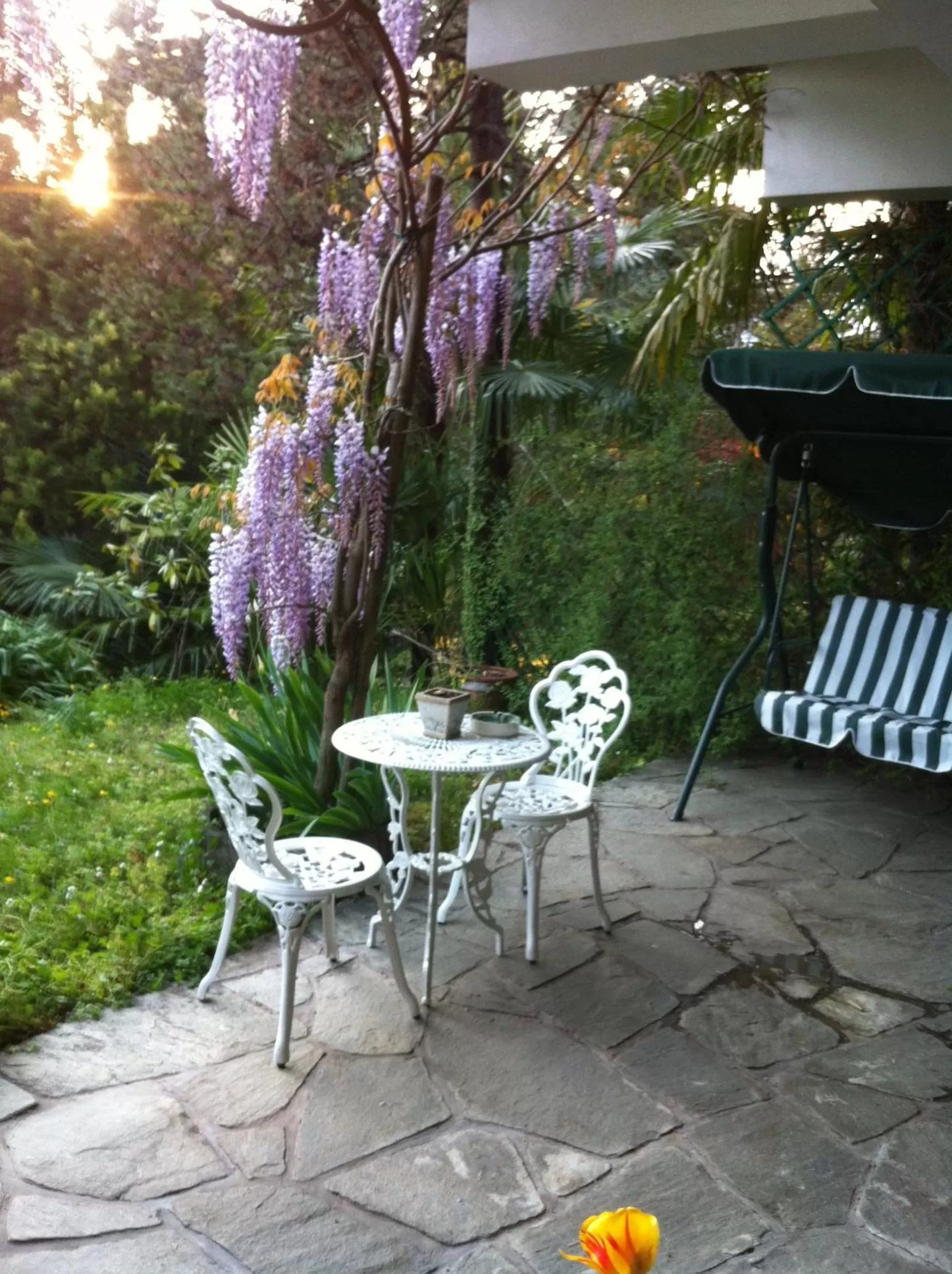 View (from property/room) in B&B Le Ortensie -Lago di Como