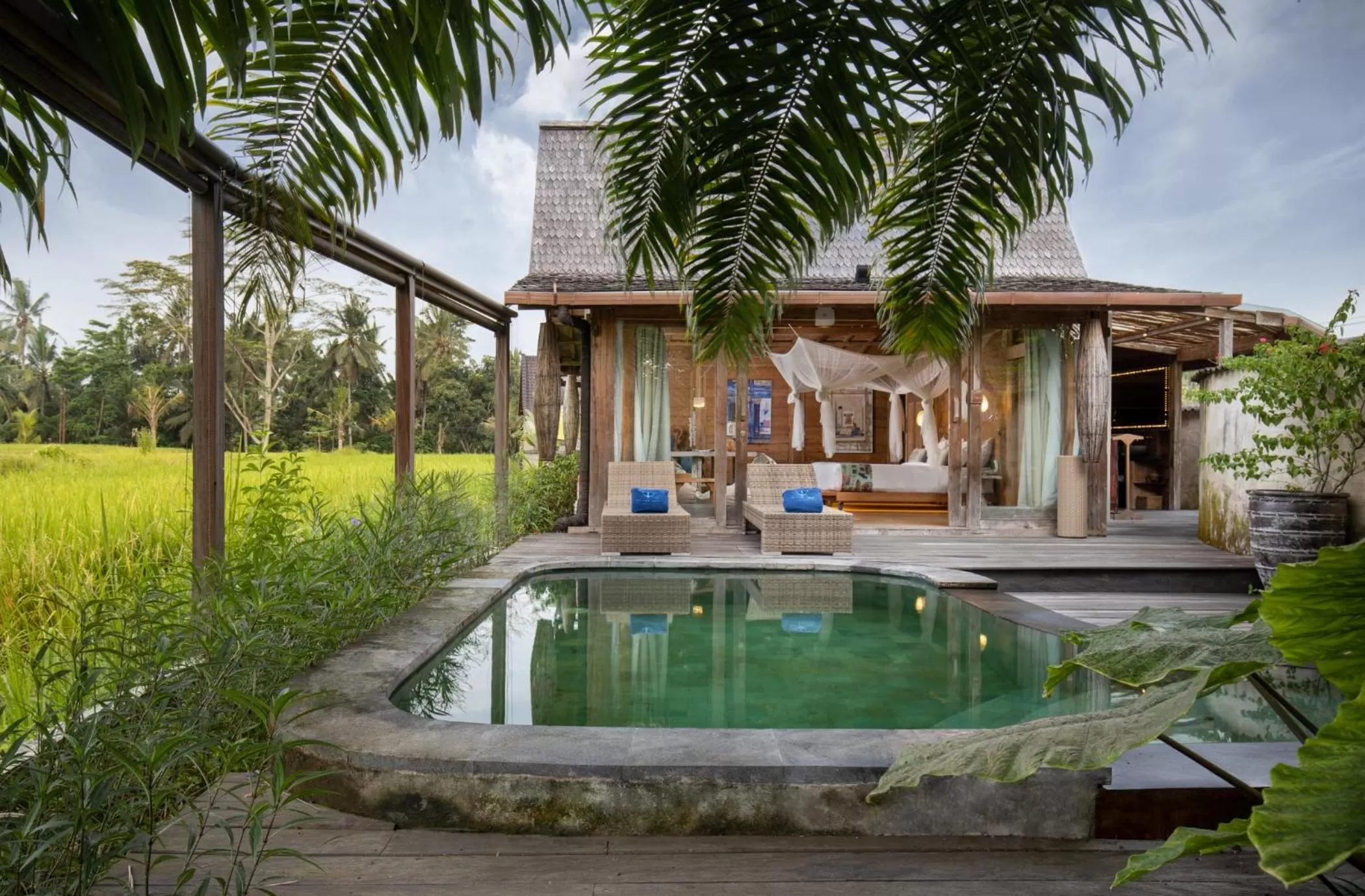 Swimming pool in Blue Karma Dijiwa Ubud