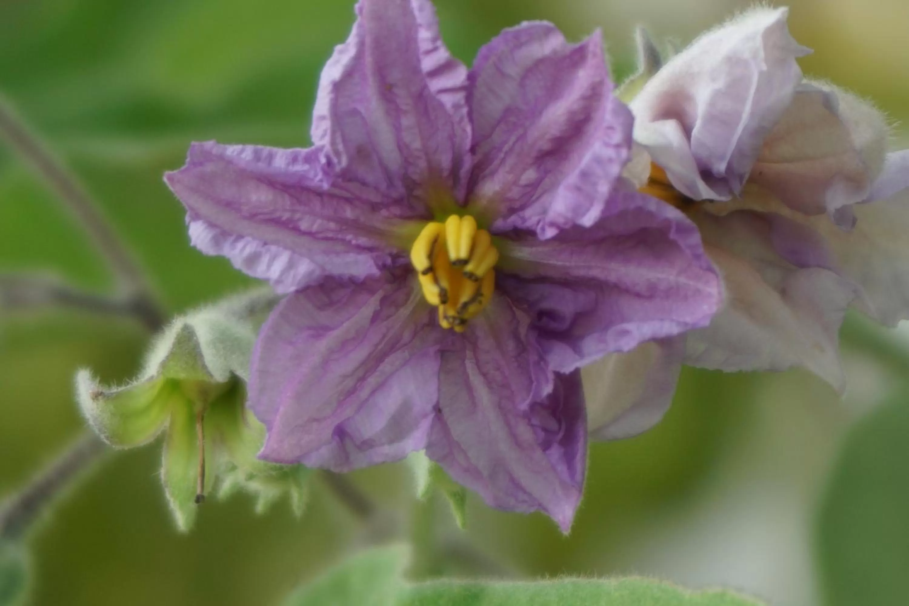 Other in Hotel Sonnenbichl