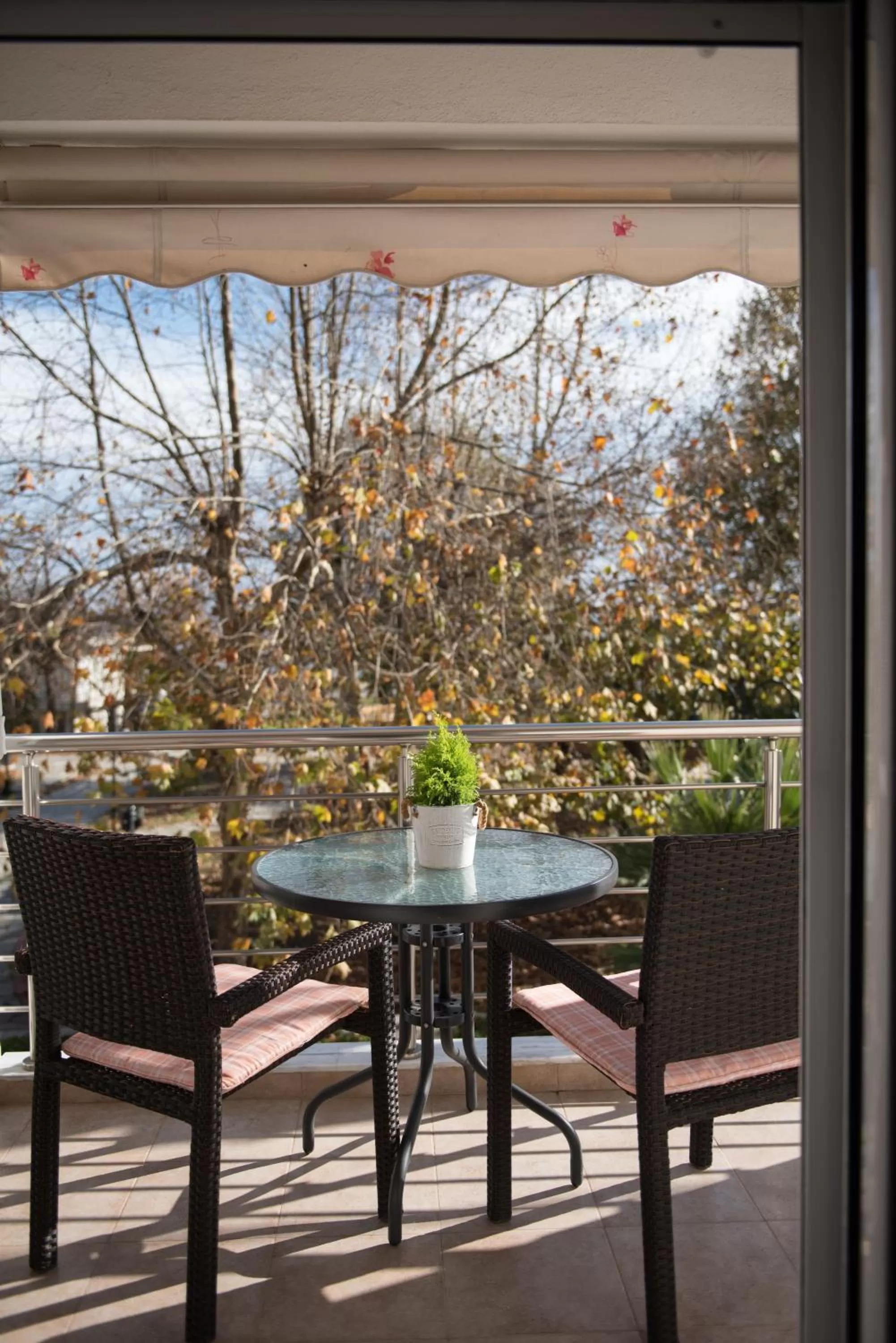 Balcony/Terrace in Musses House