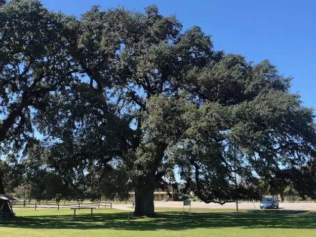 Flying L Ranch Resort & Golf Course