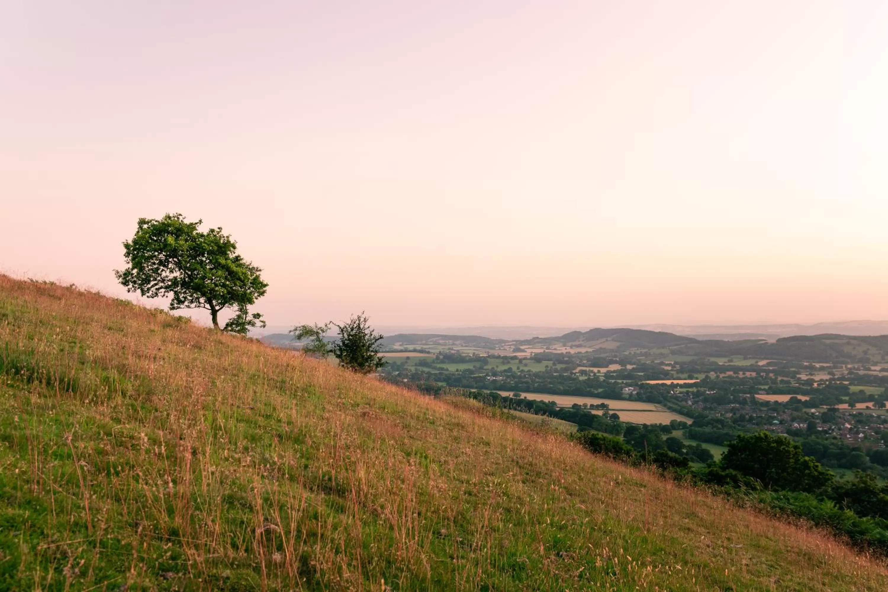 Natural landscape in Mount Pleasant Hotel