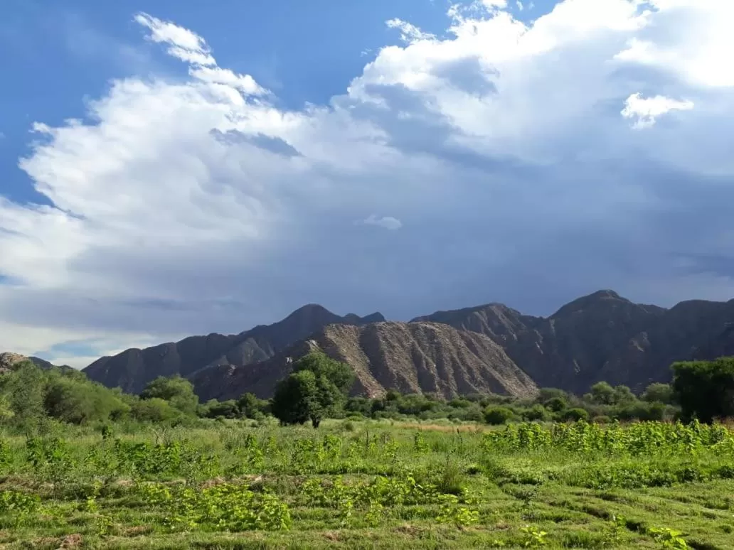 Natural landscape in Hotel Hacienda Casa Blanca