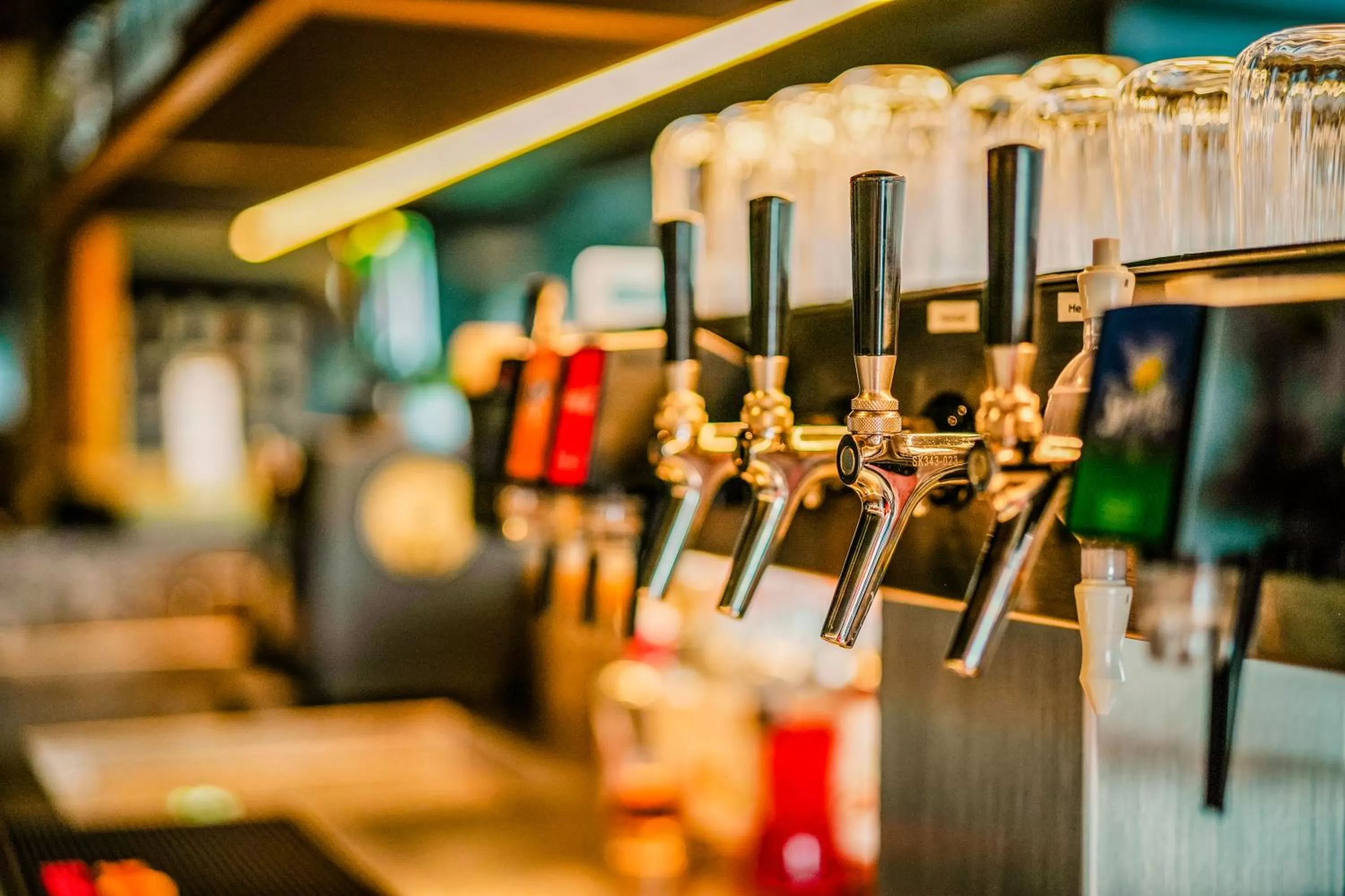 Lounge or bar in Lukullum