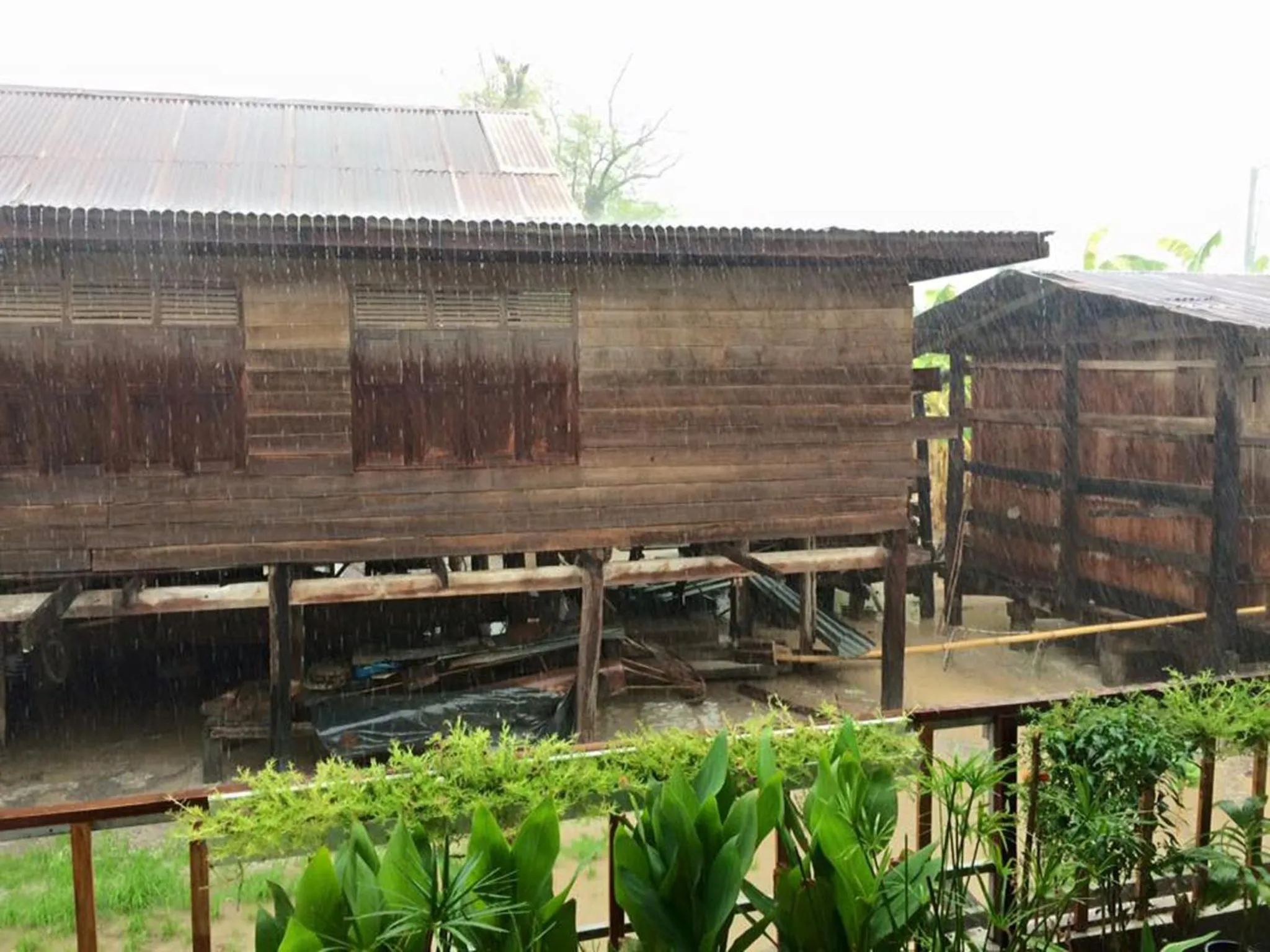 Spring in OldTown Boutique House Sukhothai