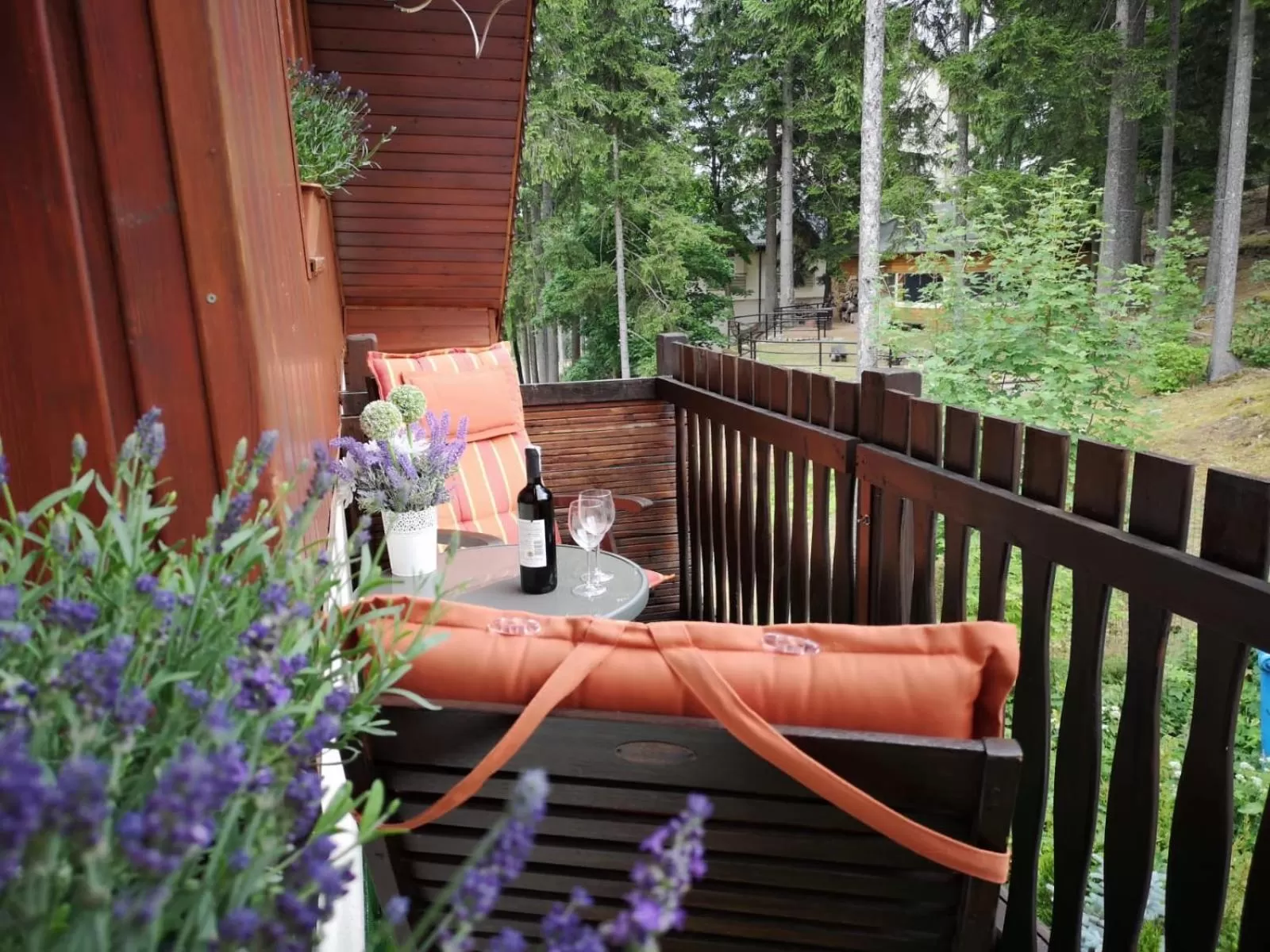 Spring in Safir przy samym WYCIĄGU