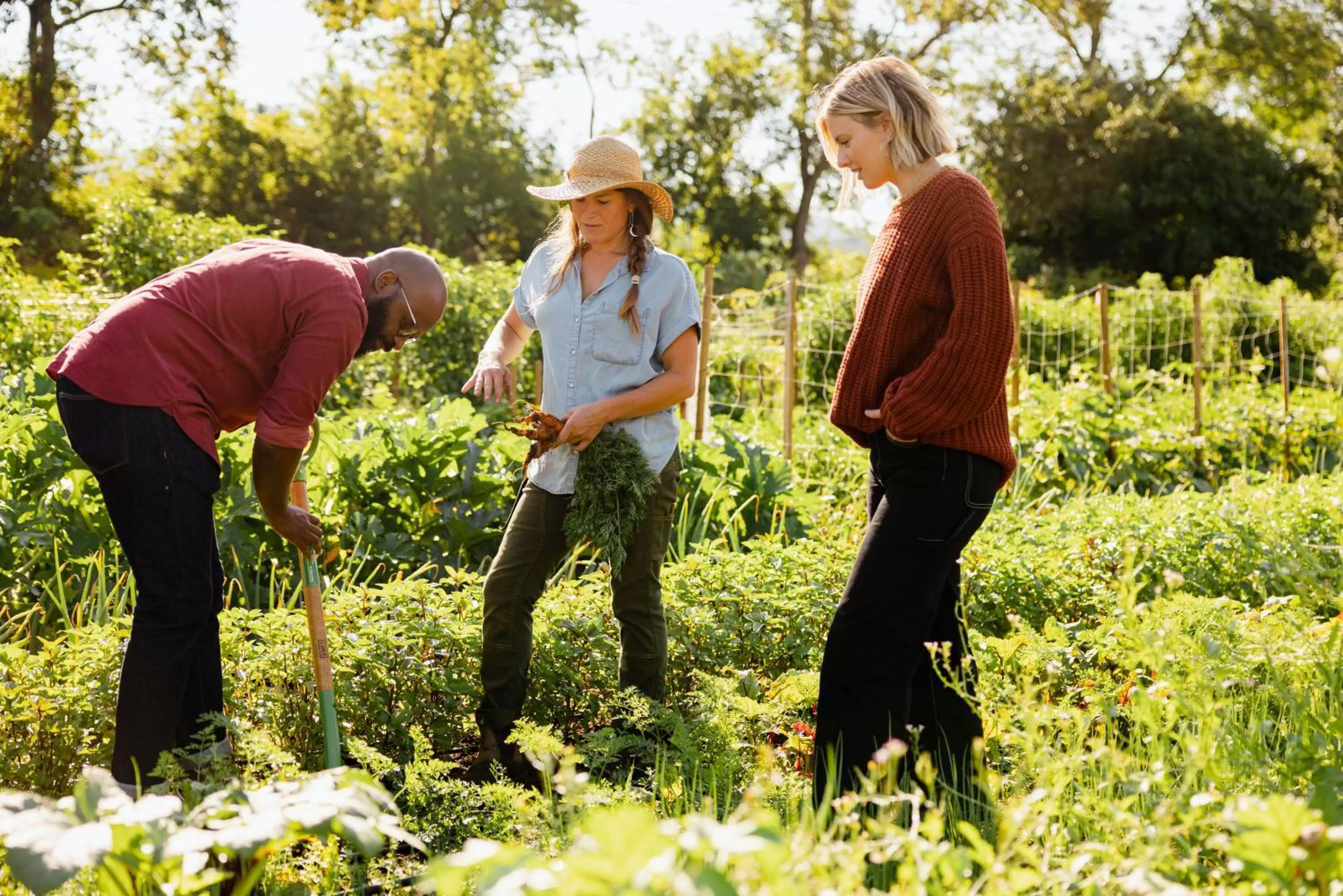 Garden in Hill Farm Inn - Manchester