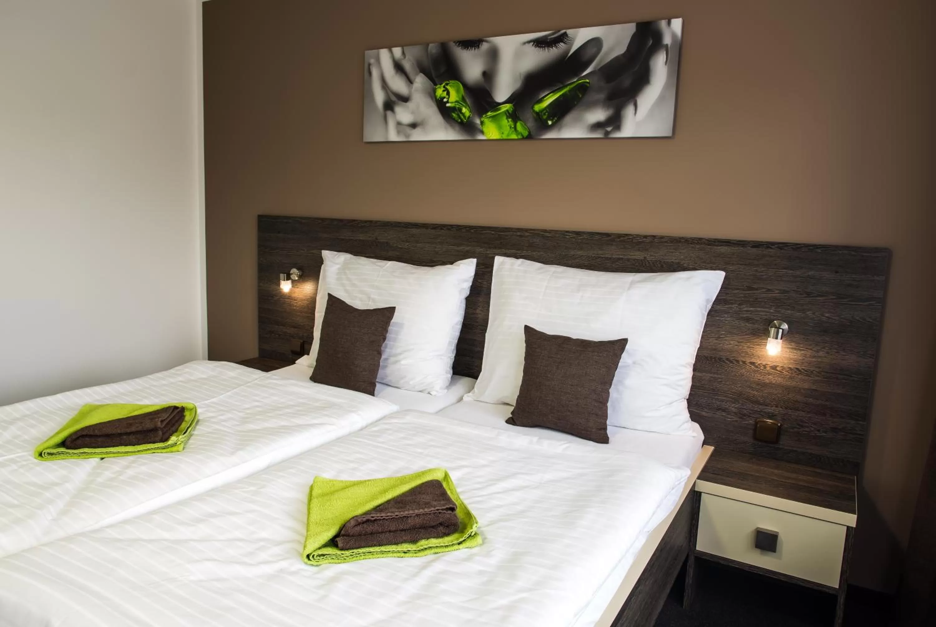 Double or Twin Room in Třebovický mlýn