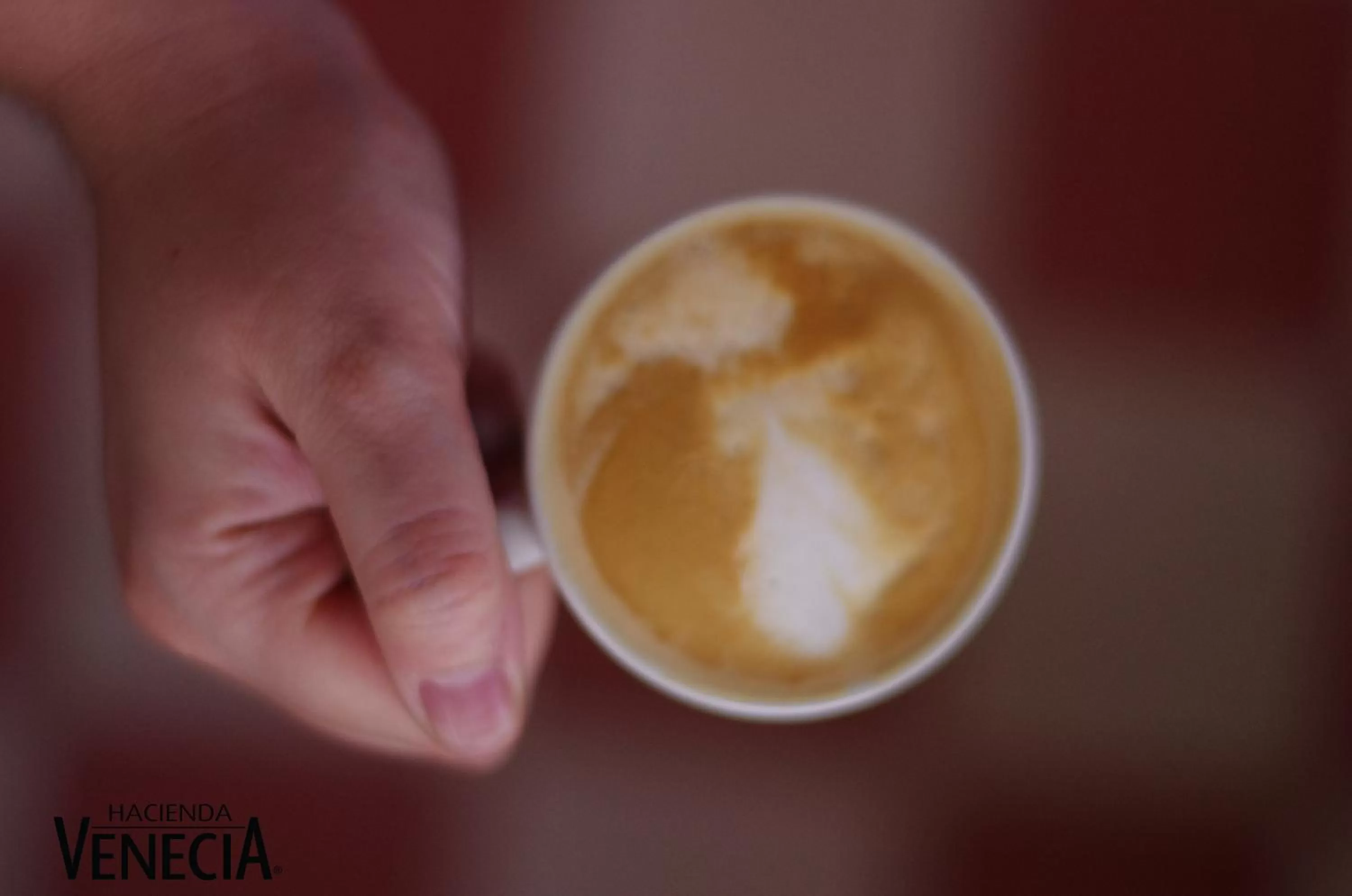 Activities in Hacienda Venecia Coffee Farm Hotel