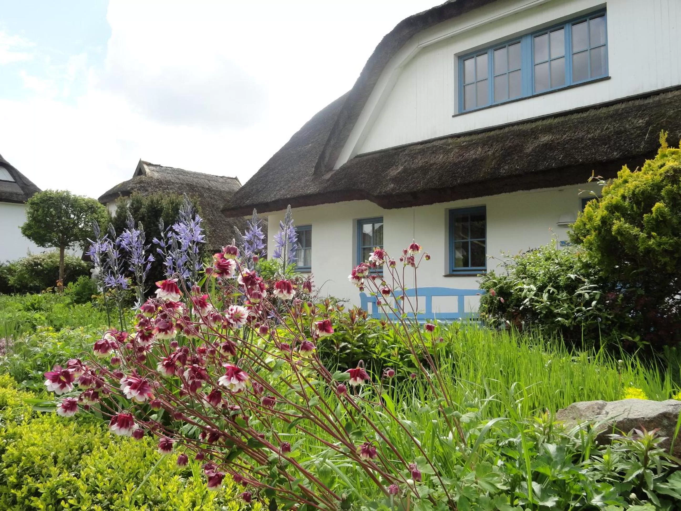 Garden in Landhotel Kastanienallee Putbus