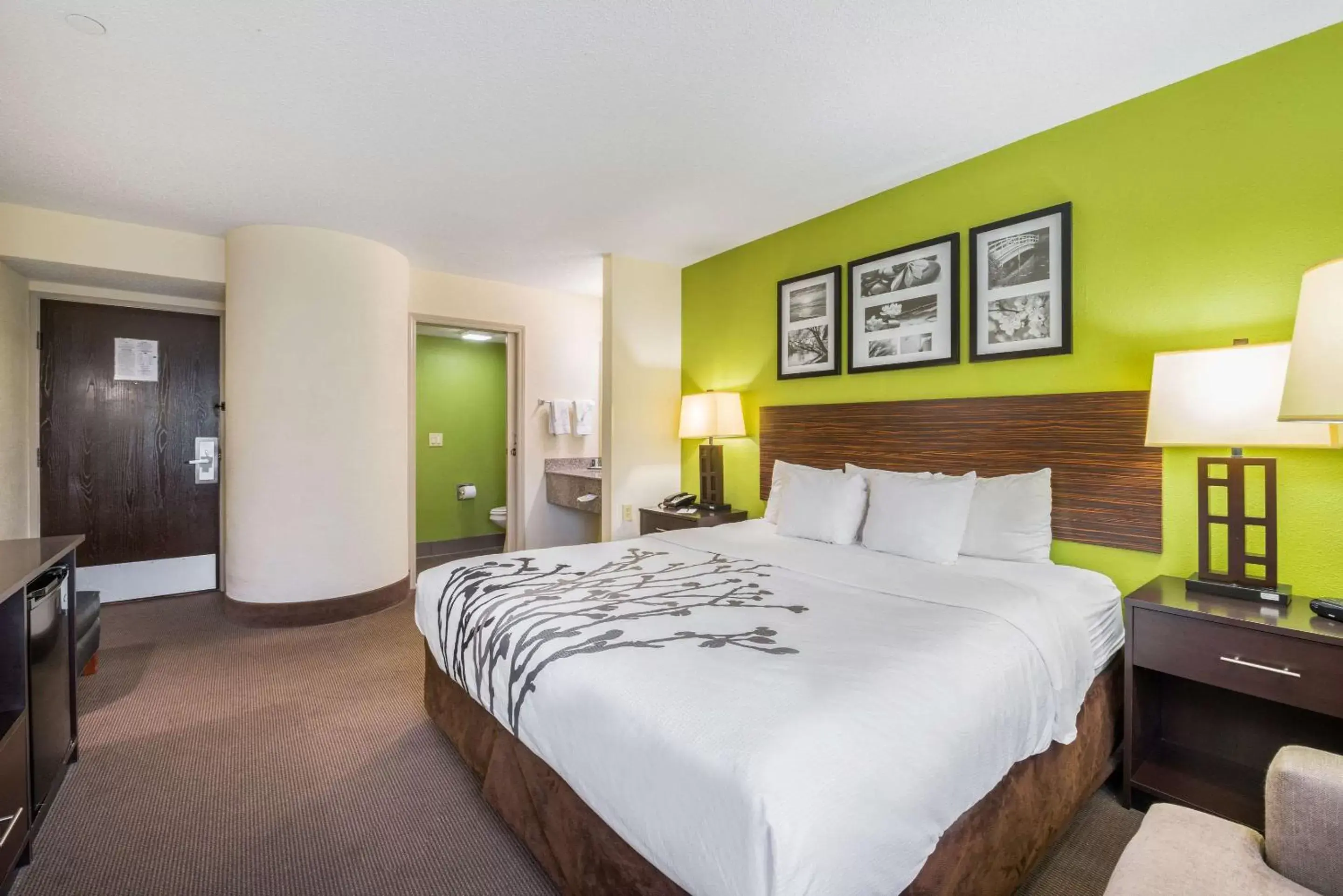 Standard King Room - Non-Smoking in Sleep Inn Statesville I-40 Standard King Room - Non-Smoking in Sleep Inn Statesville I-40