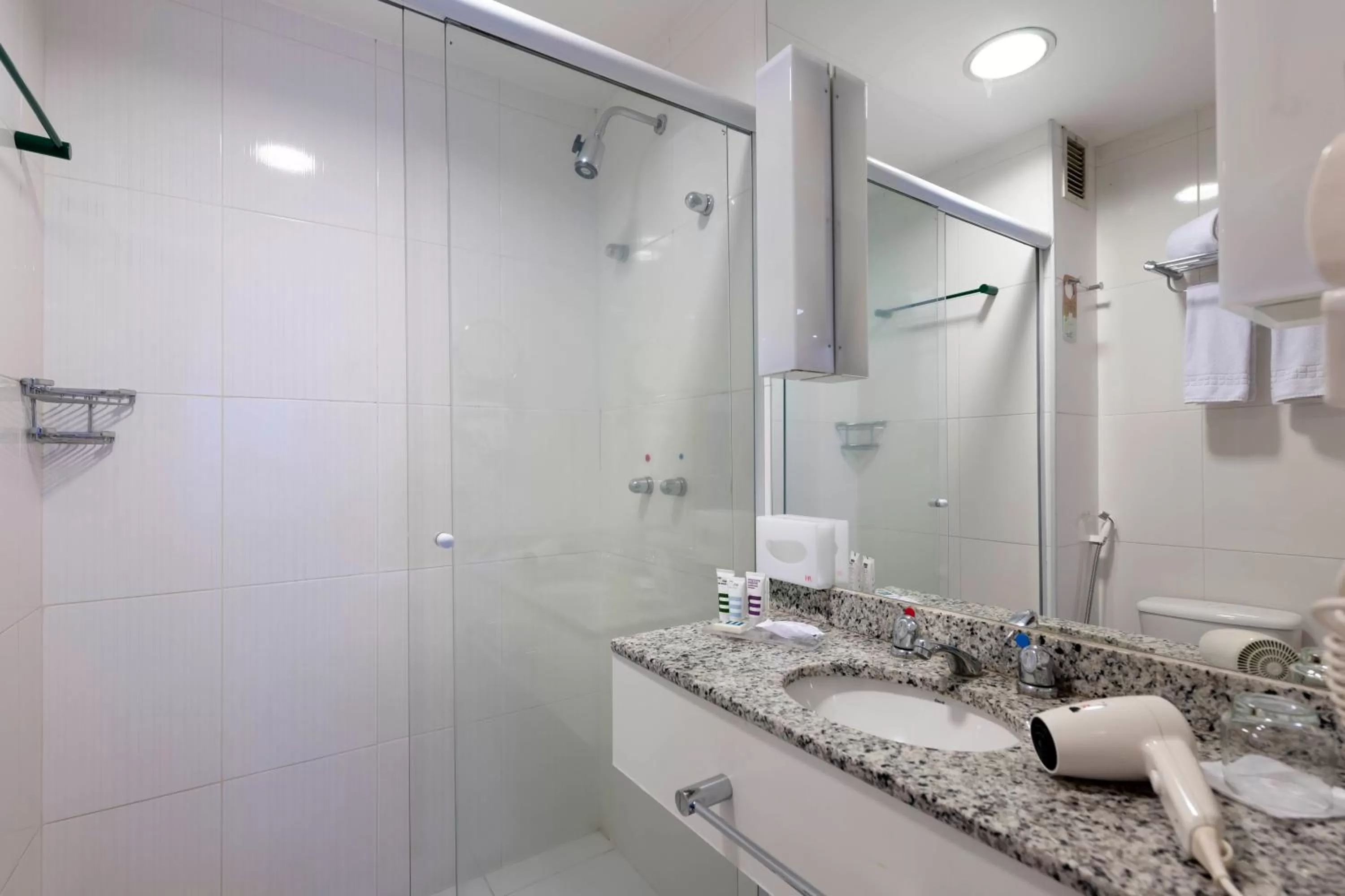 Toilet in Mercure Rio de Janeiro Nova Iguaçu