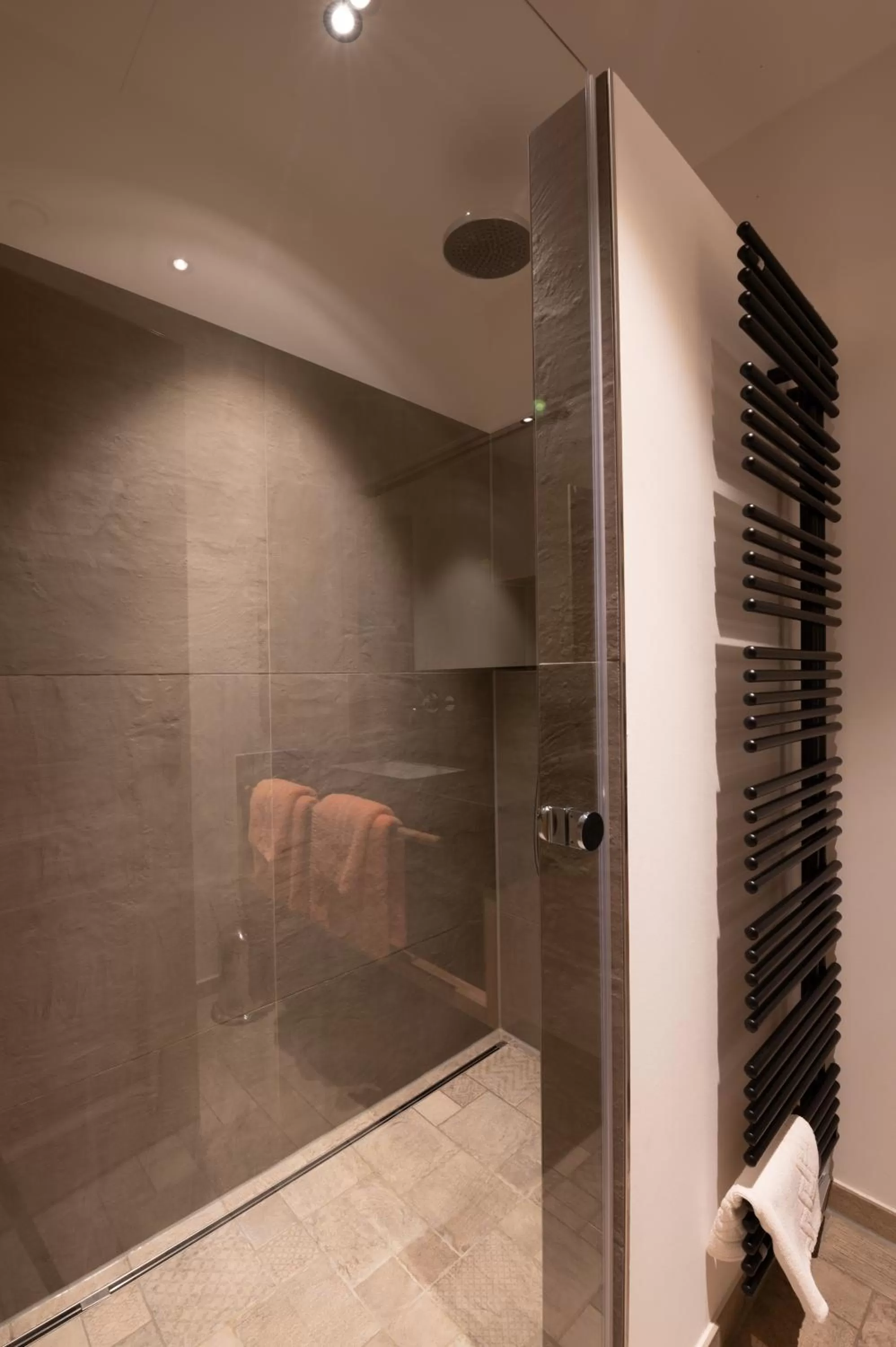 Shower in LANDHOTEL ALTE ZOLLSTATION- Historical Building