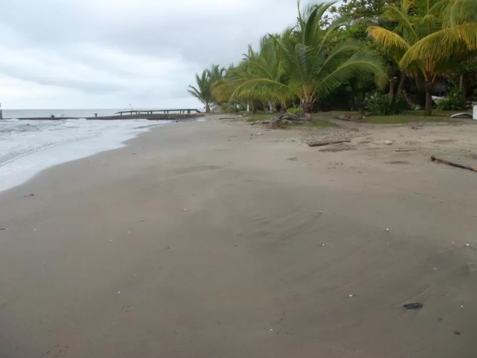Beach in Hotel Salvador Gaviota