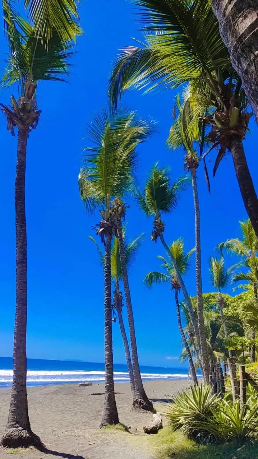 Property building in The Backyard Beachfront Hotel