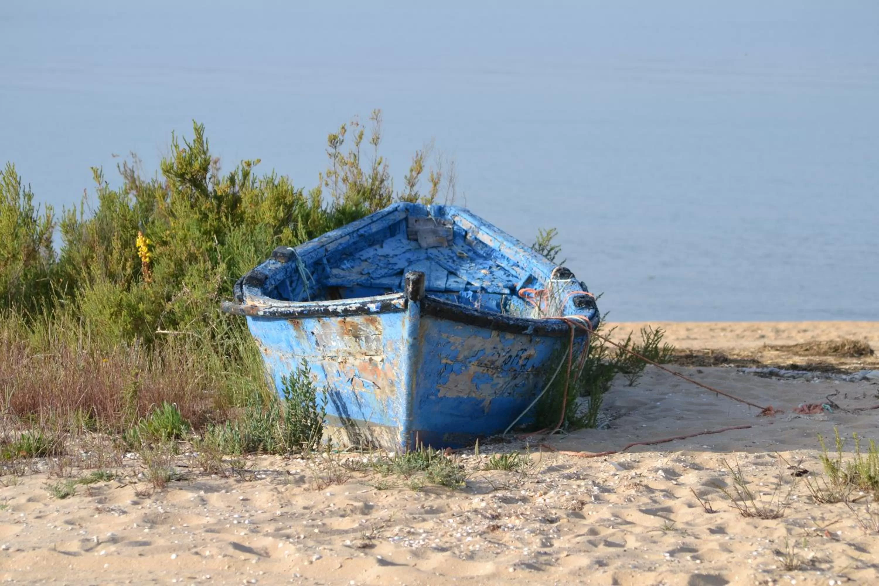 Apartamentos Carruna