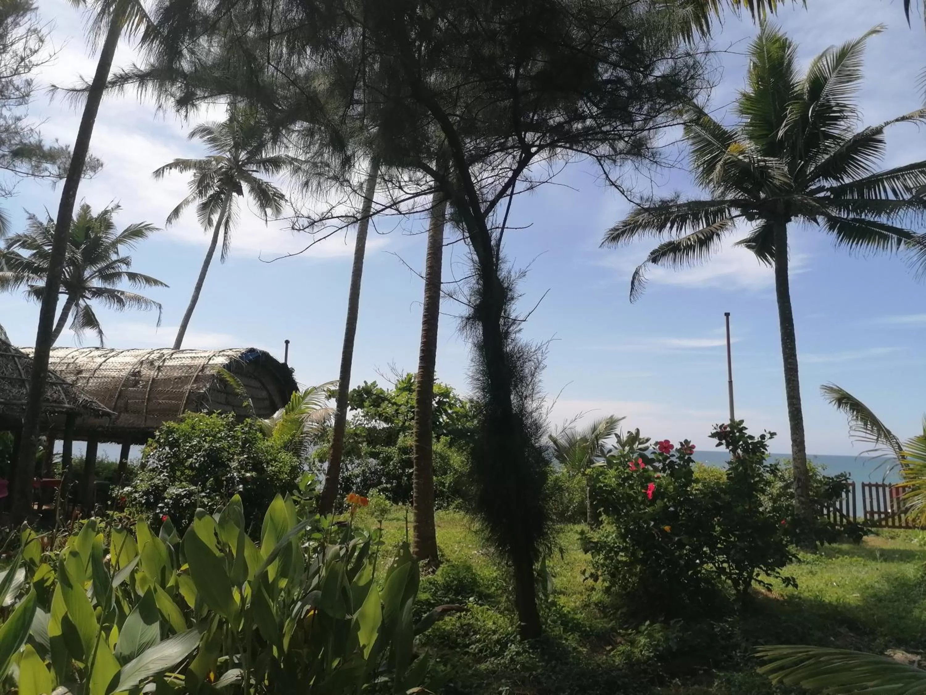 Restaurant/places to eat in Sukriti beach Resort