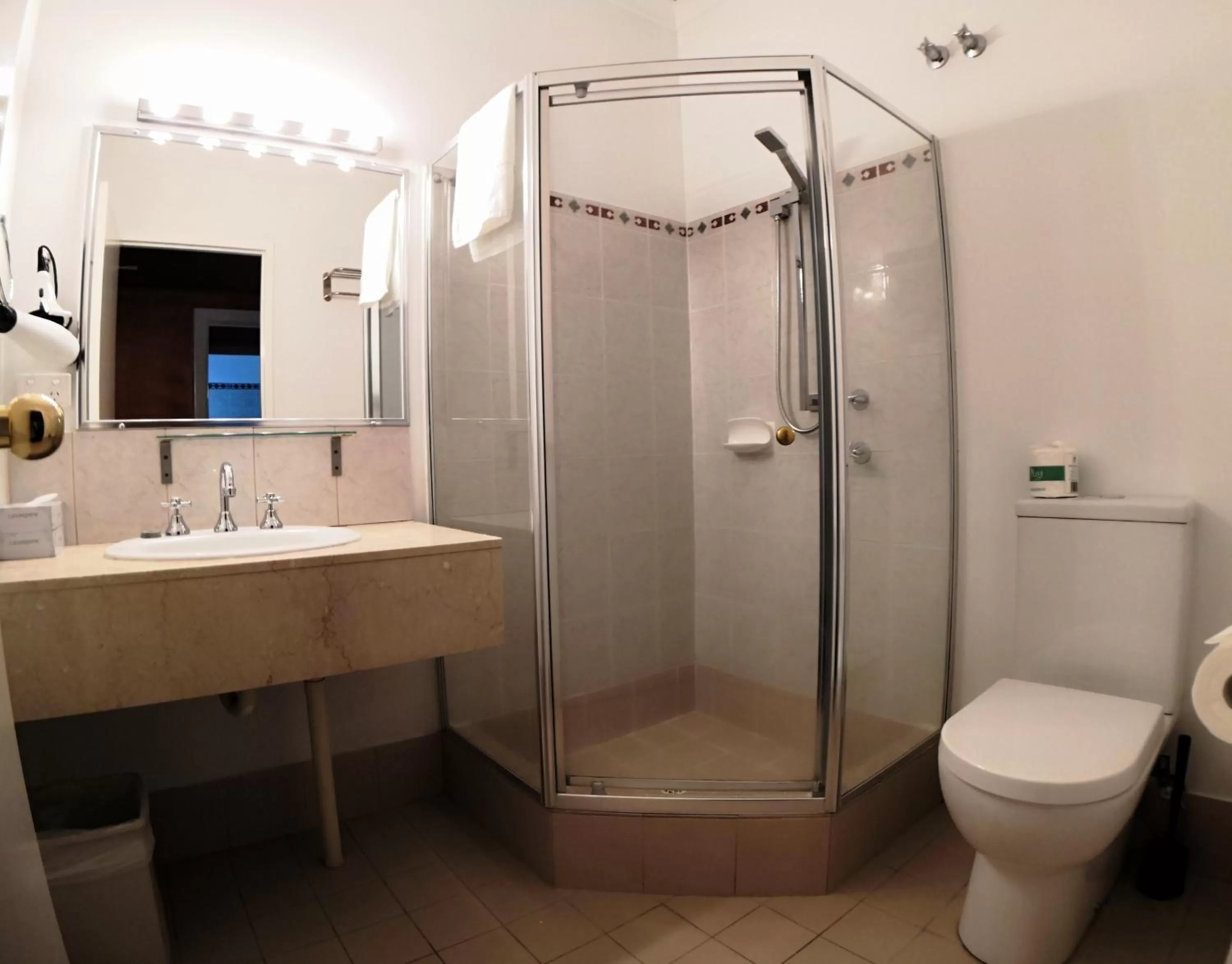 Shower in Criterion Hotel Perth