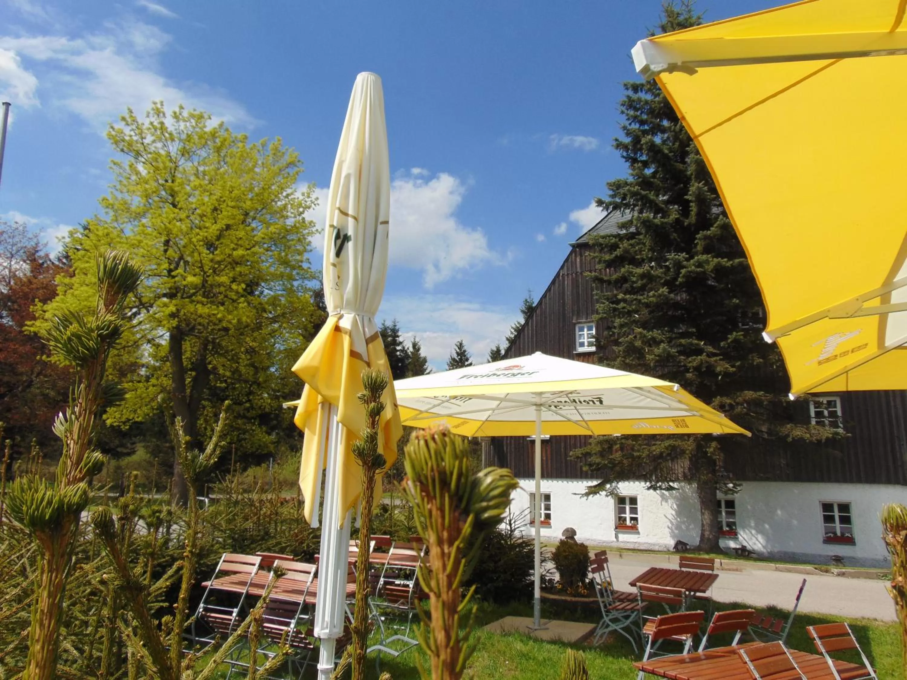 Garden view in Waldgasthof Bad Einsiedel