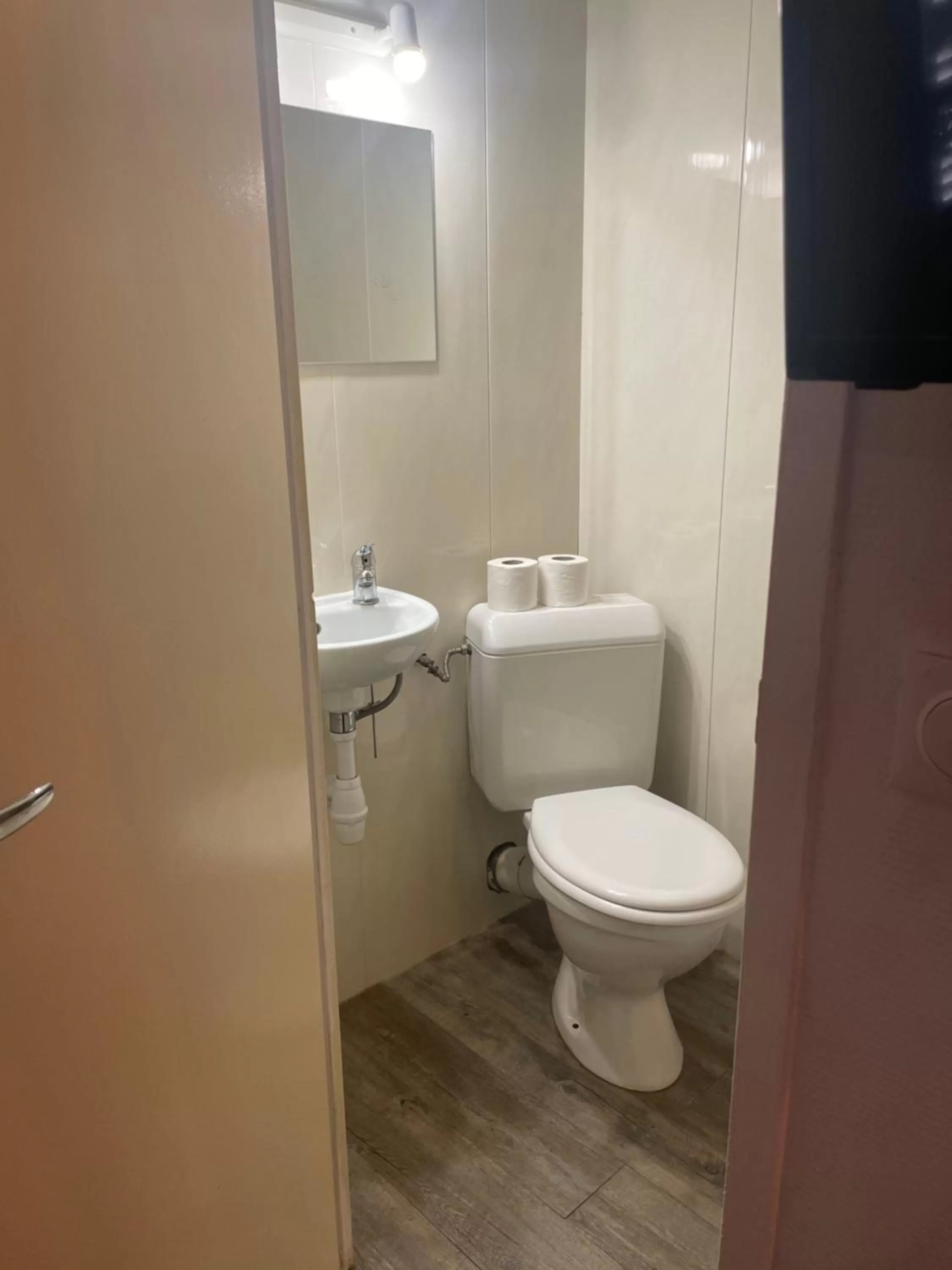 Toilet, Bathroom in Hôtel & Restaurant Le Patio VICHY