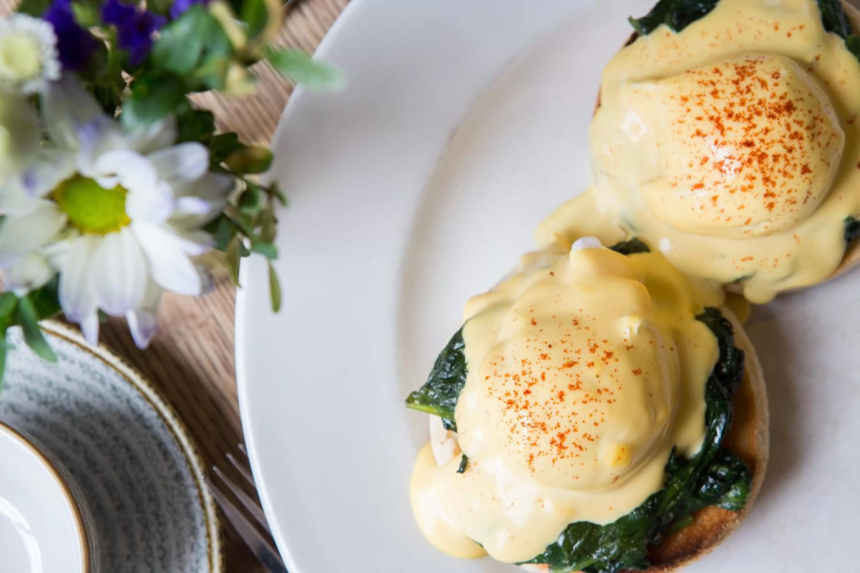 Food and drinks in Mount Edgcumbe