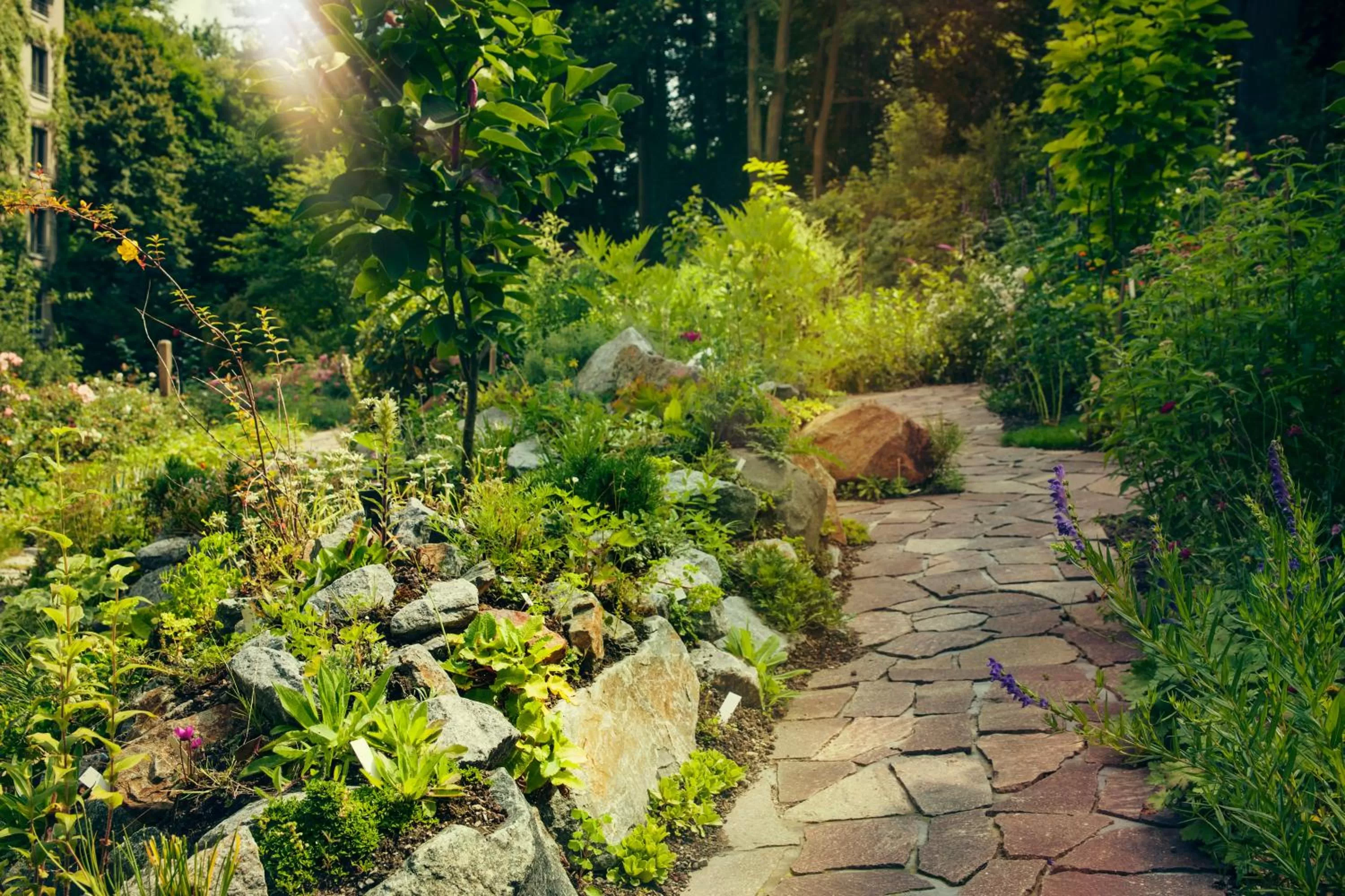 Day in Parkhotel Görlitz