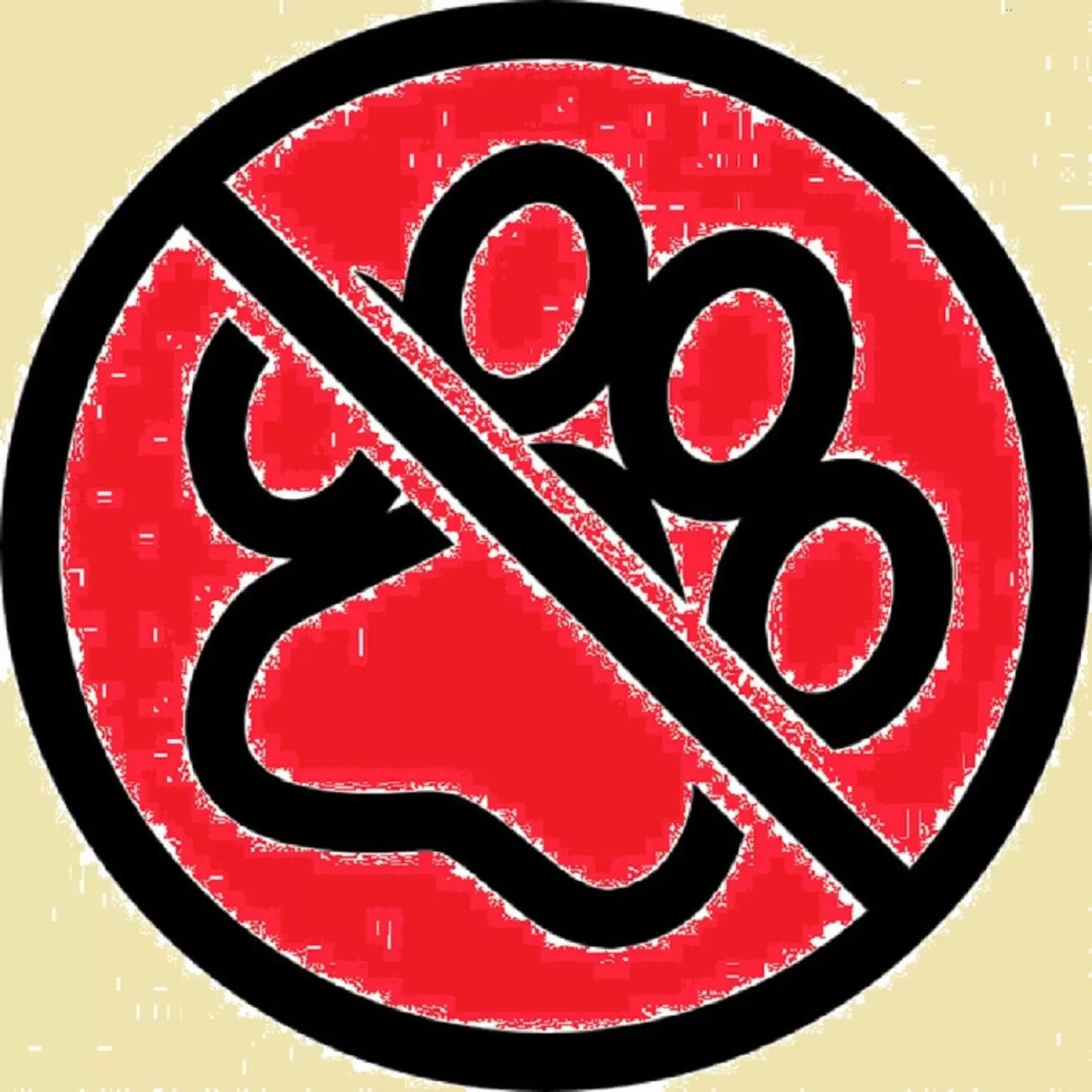 Animals in Hotel Oasi