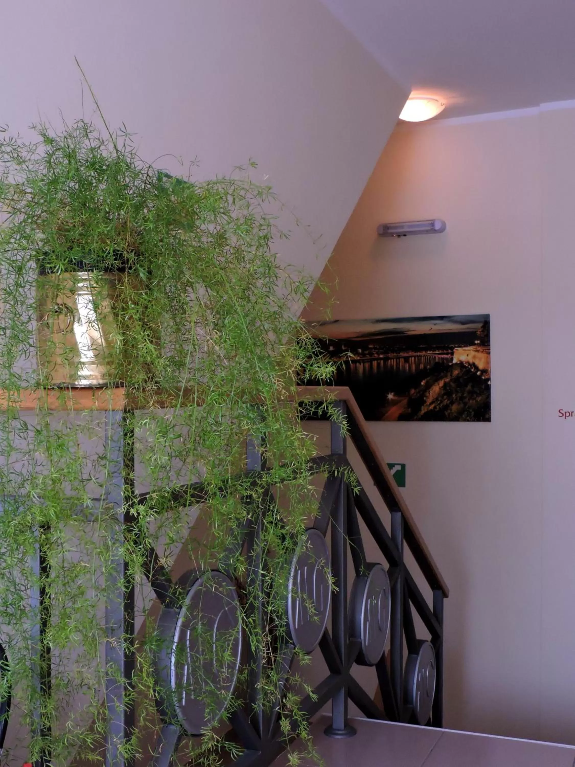 Area and facilities in B&B Zmajevo Gnezdo 021