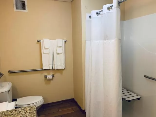 Wingate by Wyndham Elkins