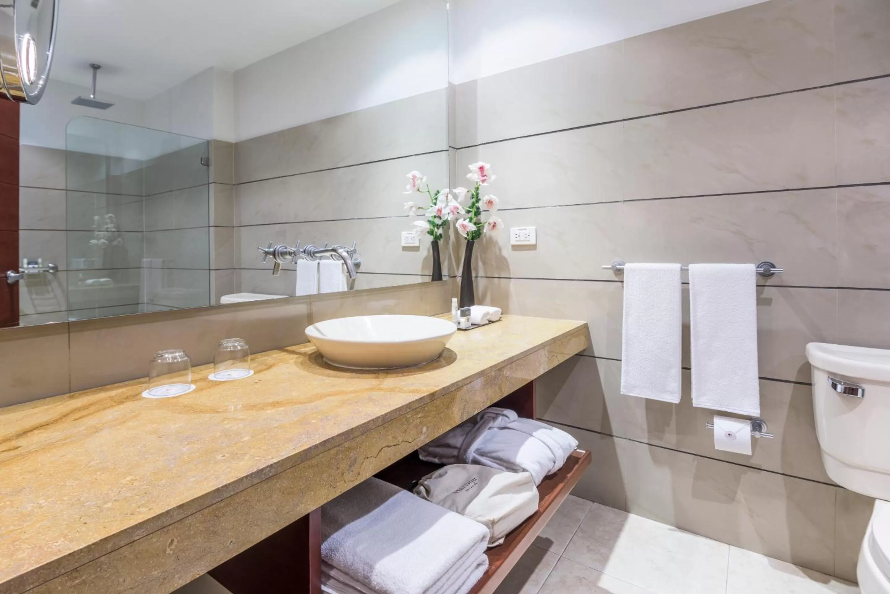 Bathroom in Cosmos 100 Executive