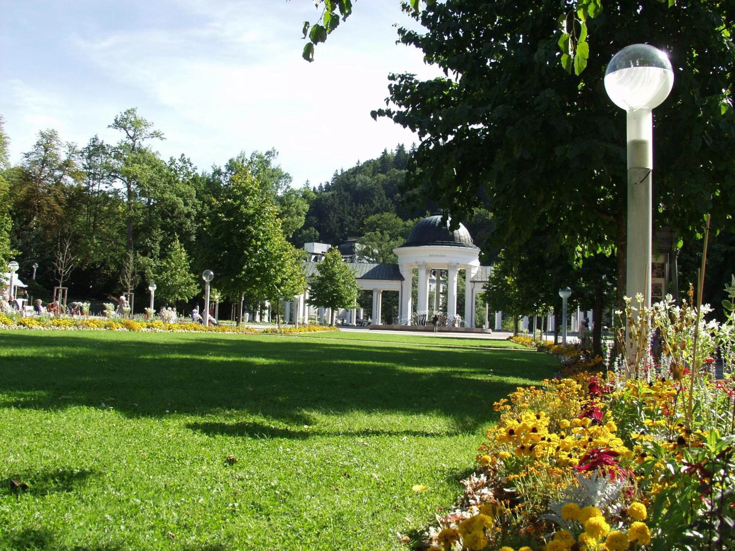 Spa and wellness centre/facilities, Property Building in Apartma La Provence