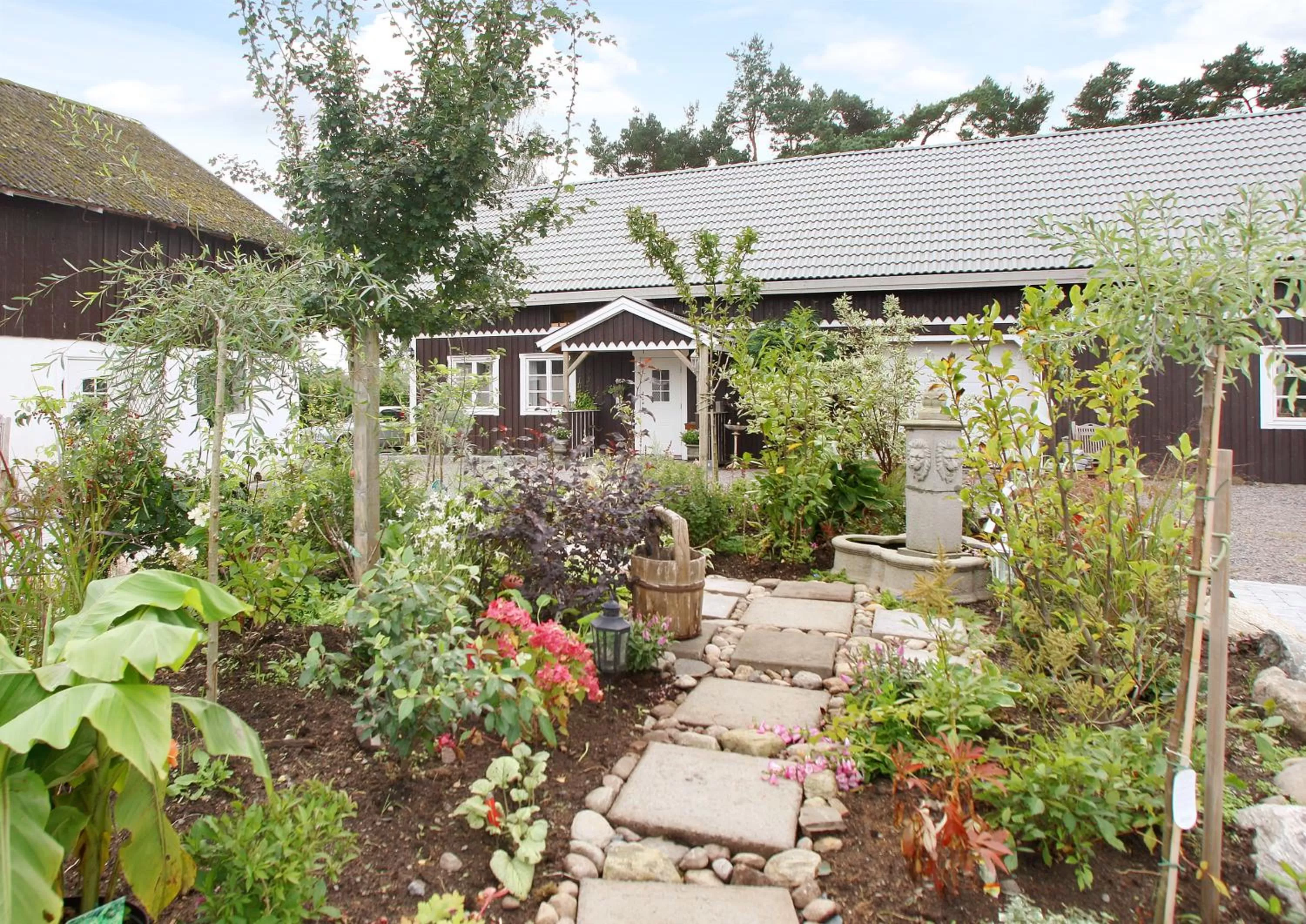 Garden in Åsa Jutegård