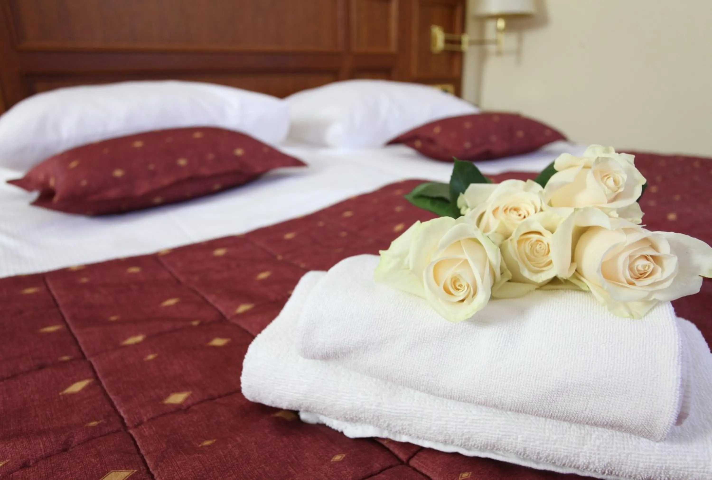 Deluxe Double Room - single occupancy in Boutique Hotel Korana Srakovcic