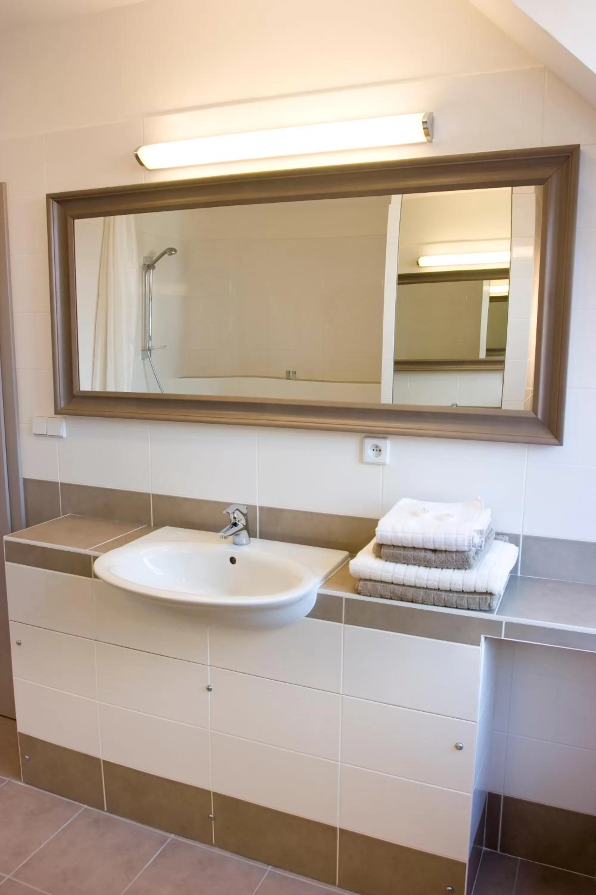 Bathroom in Hotel Dvur Hoffmeister