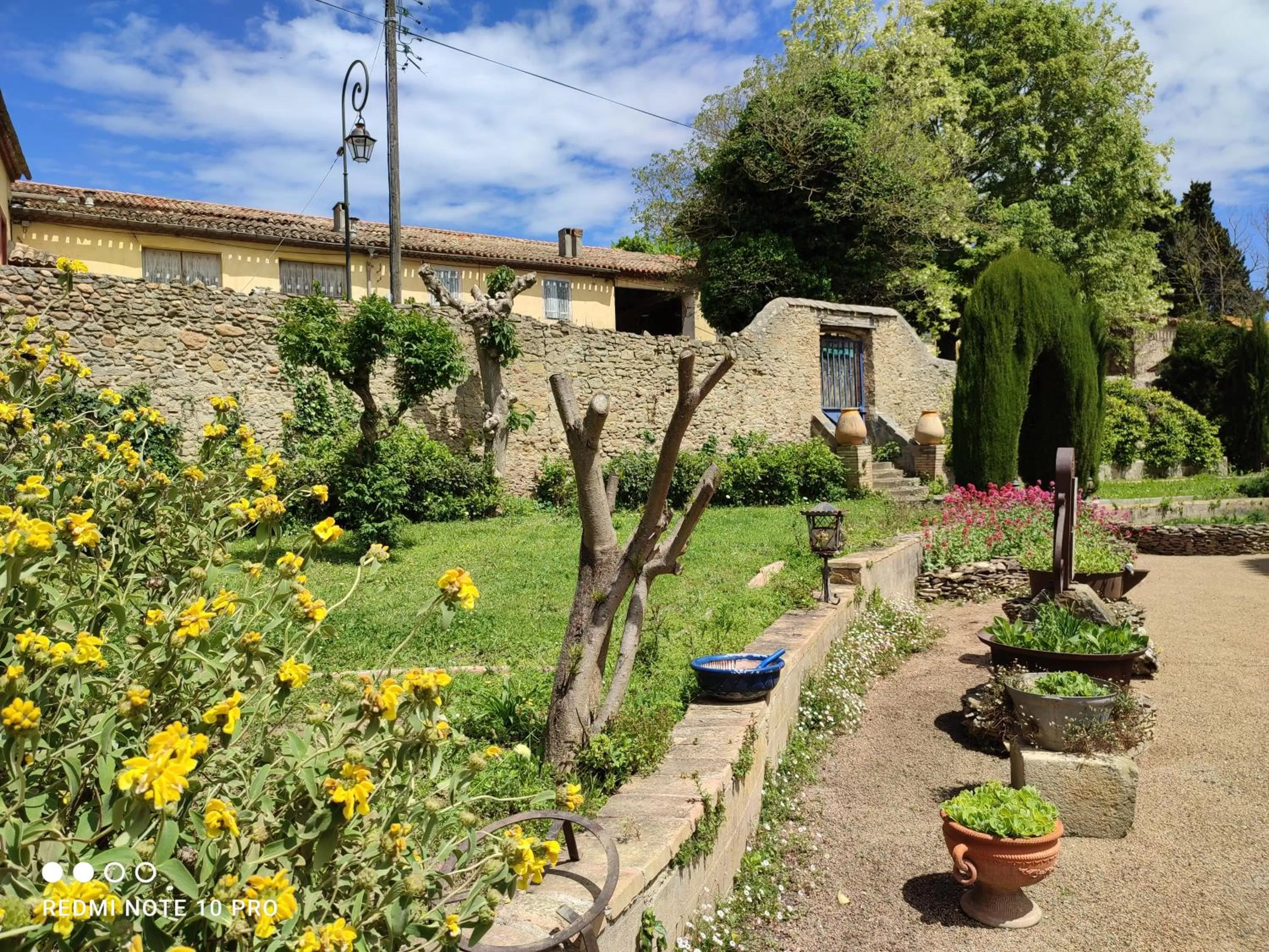 Garden in Château Saint-Martin