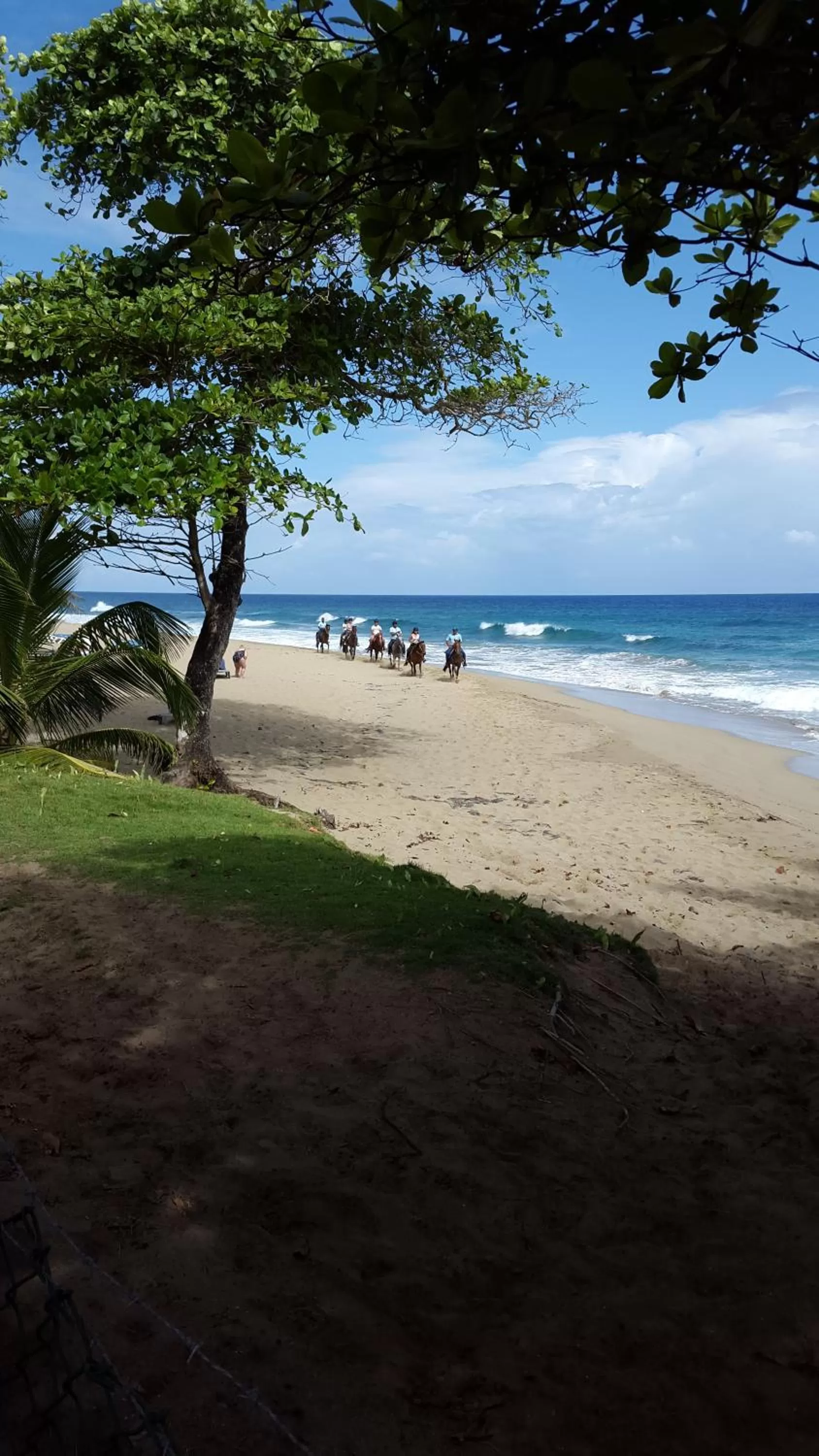 Horse-riding in Cabarete Maravilla Eco Lodge Boutique Beach Surf Encuentro, Kite, by AA Crypto Group
