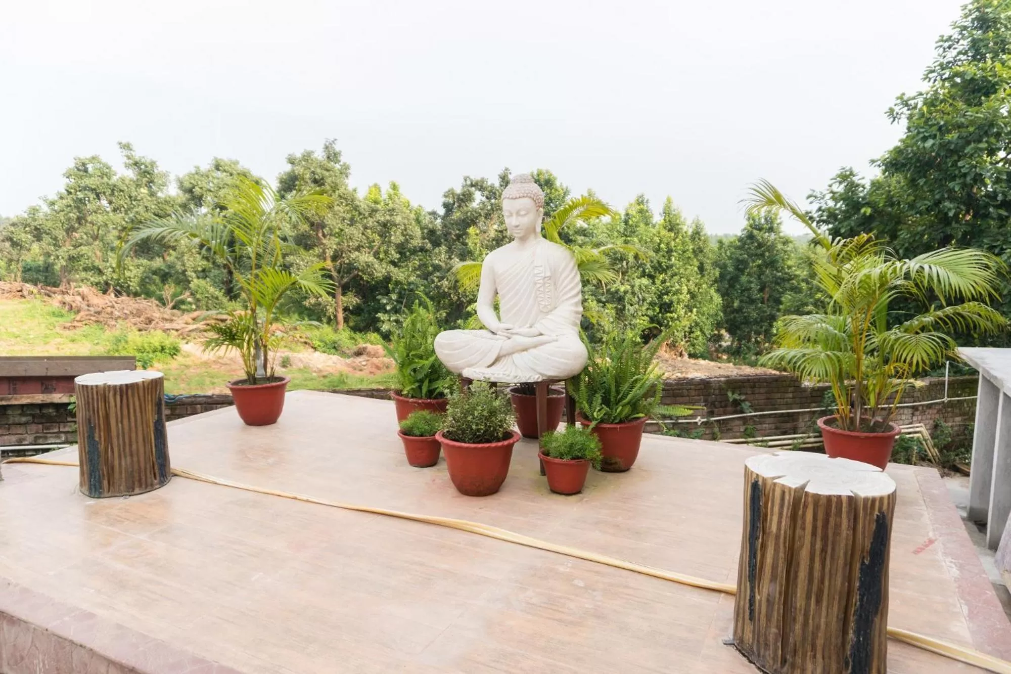 Garden view in Kushal Palli Resorts- A unit of PearlTree Hotels & Resorts