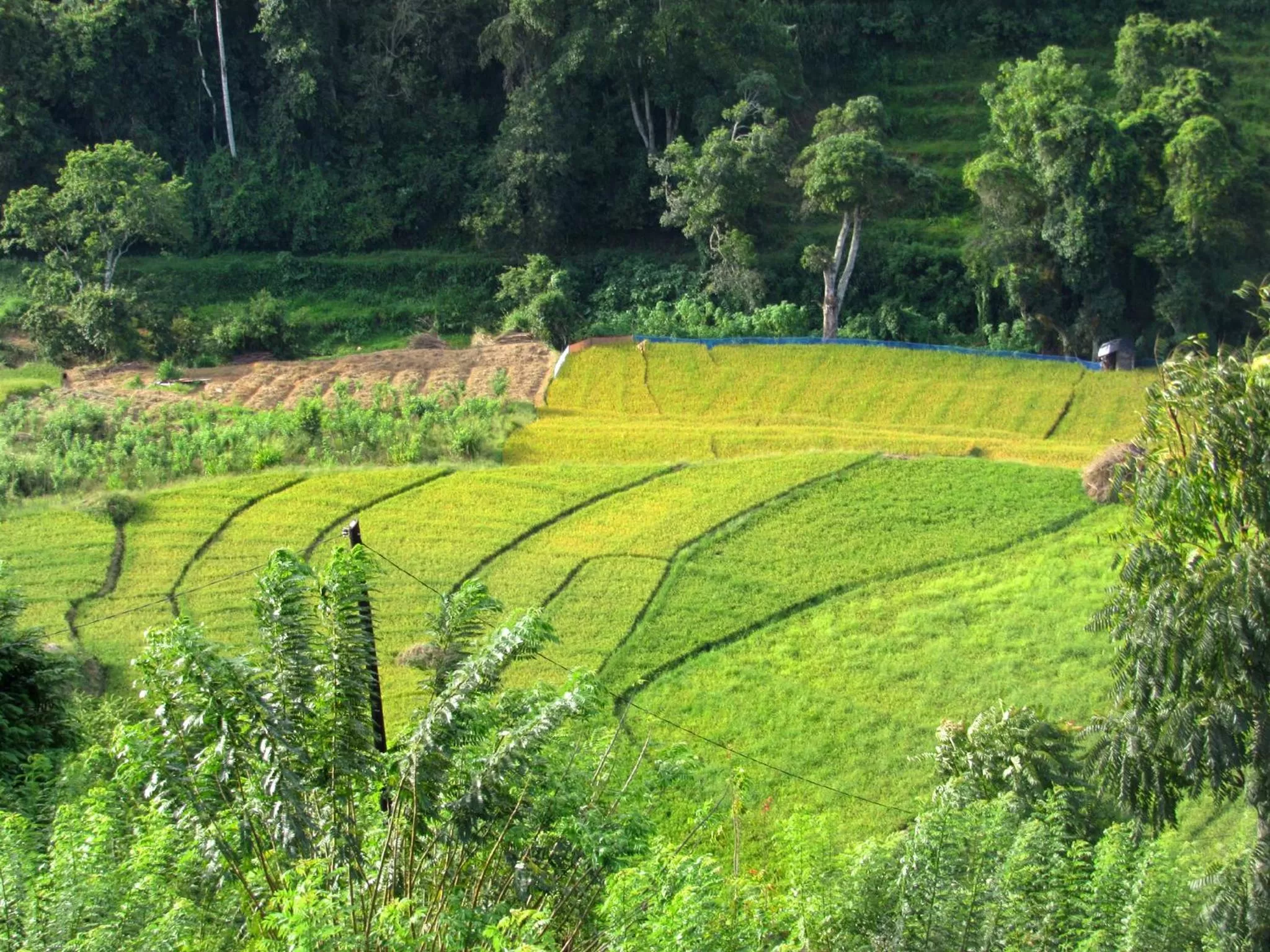 View (from property/room), Natural Landscape in Ornateview Hotel