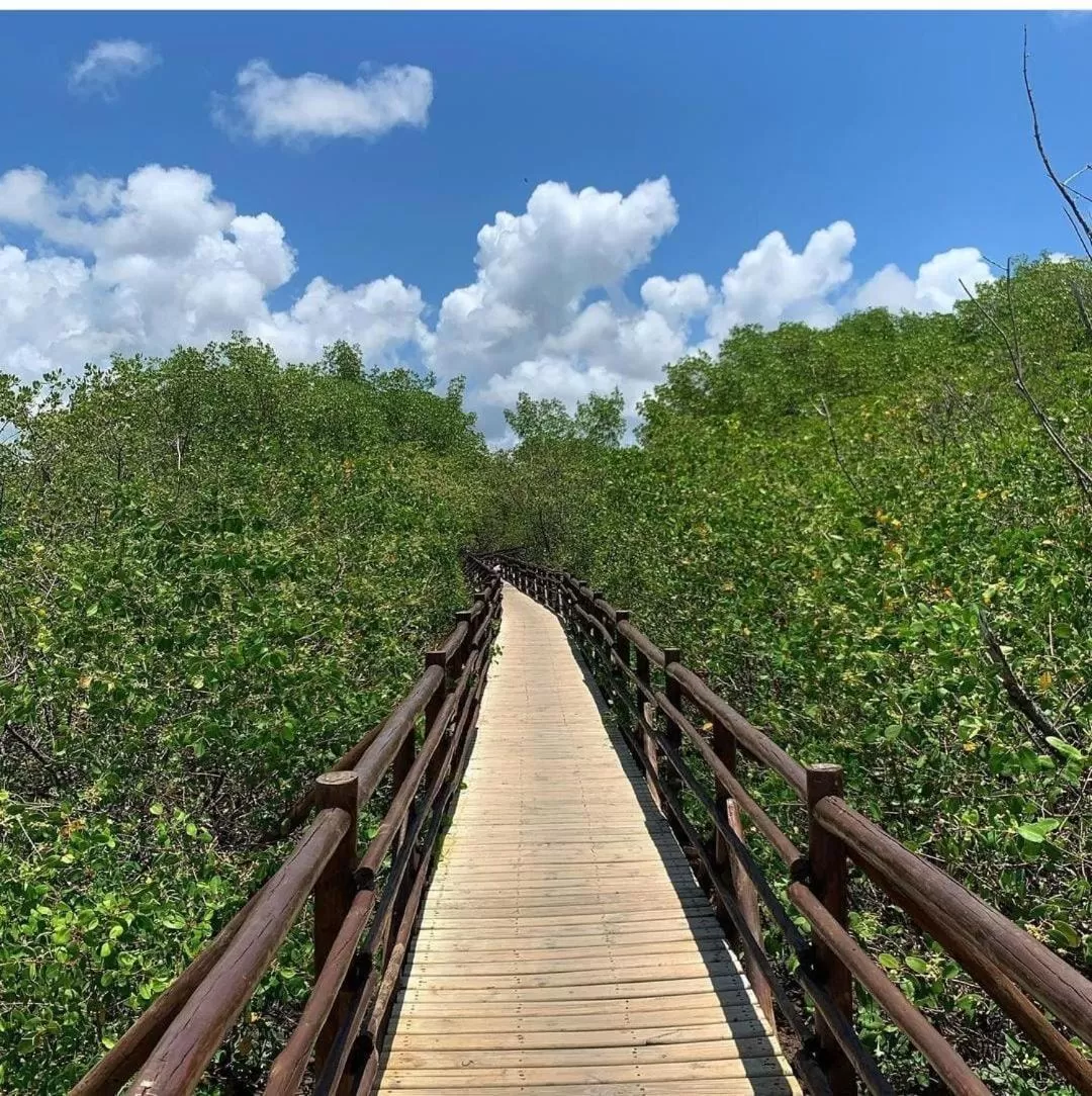 Pousada Quinta do Patacho