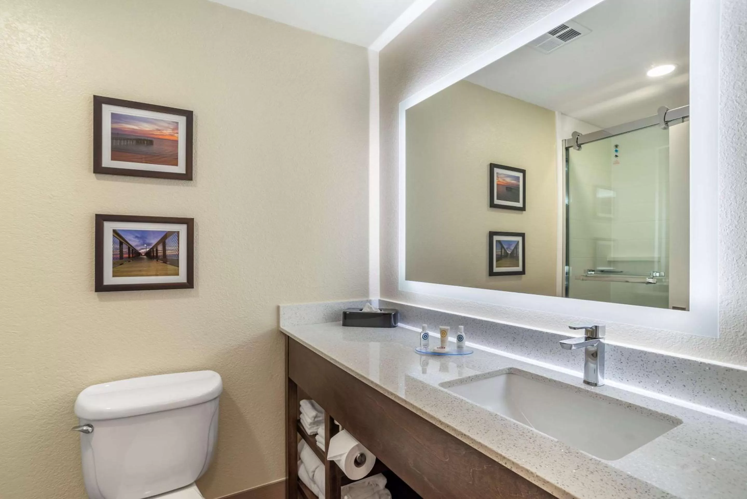 Bathroom in Comfort Inn & Suites Millbrook-Prattville